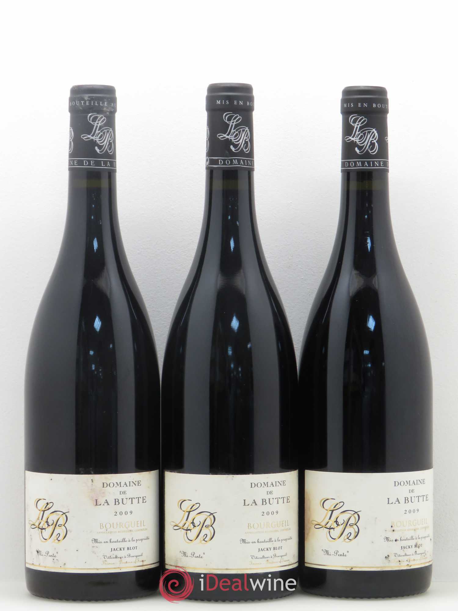 Bourgueil Mi-Pente Domaine de La Butte - Jacky Blot 2009 - Lot de 3 bouteilles - 0