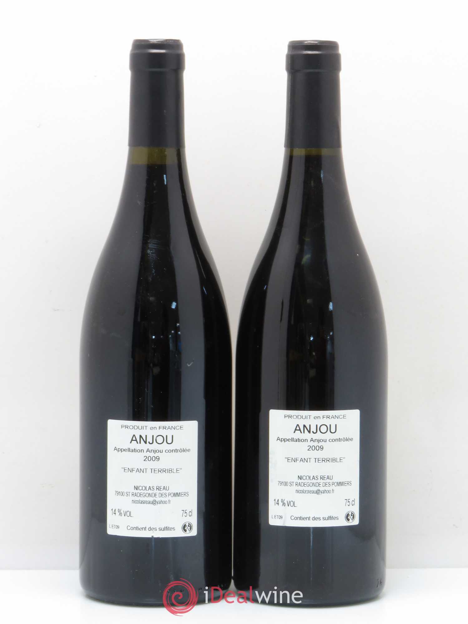 Anjou L'enfant terrible Domaine Nicolas Reau 2009 - Lot of 2 bottles - 1