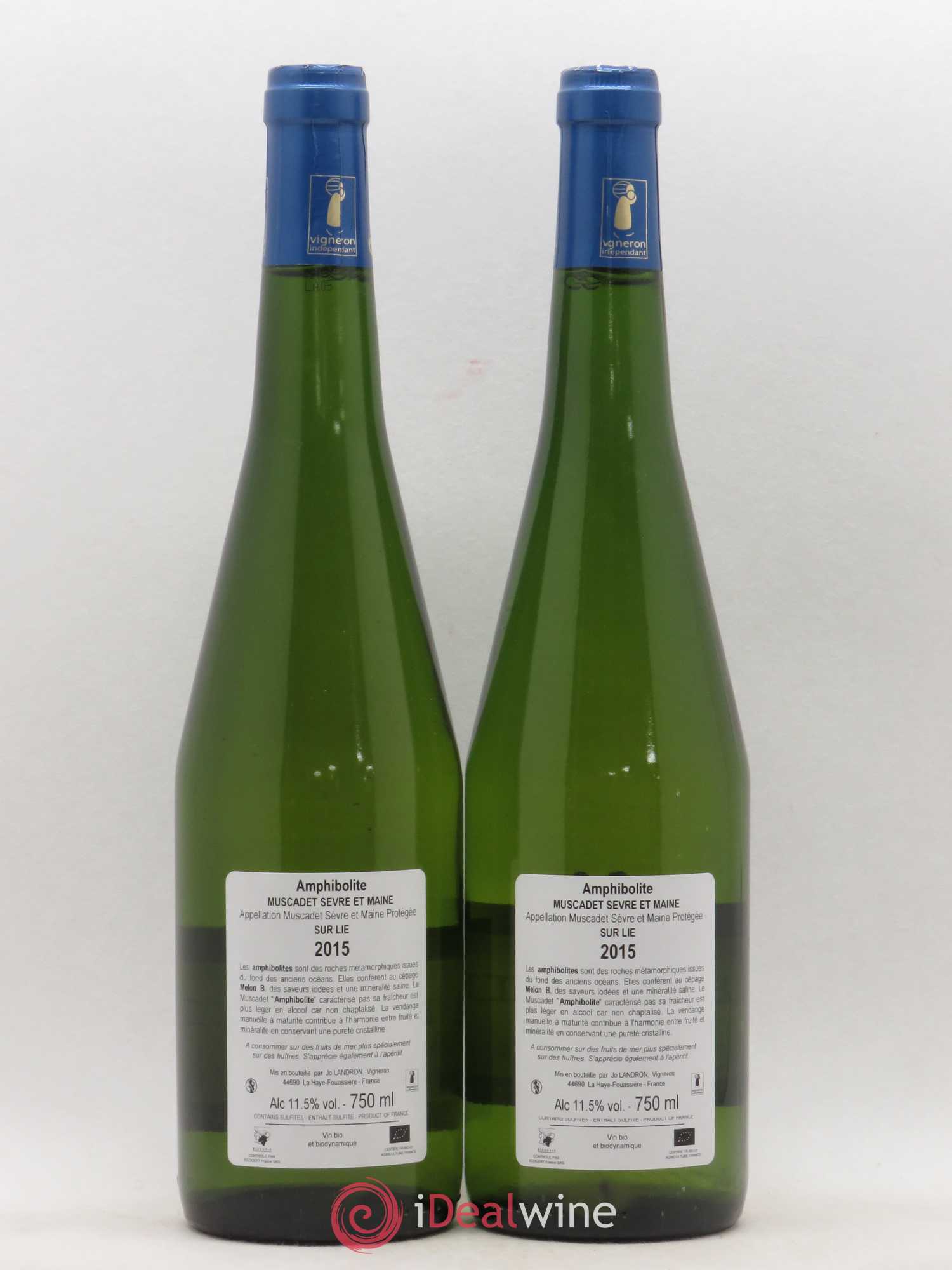 Muscadet-Sèvre-et-Maine Amphibolite Jo Landron 2015 - Lot de 2 bouteilles - 1