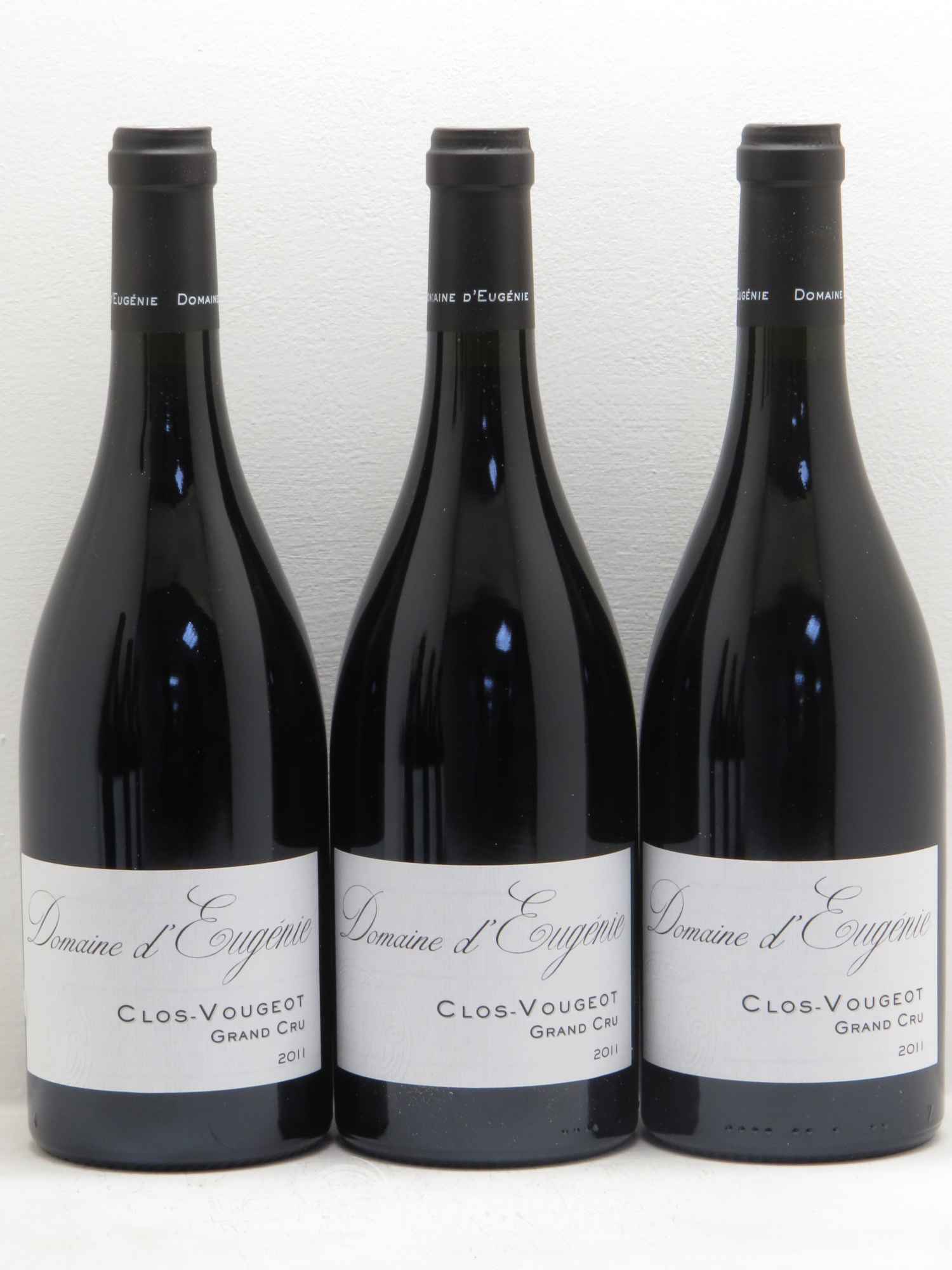 Clos de Vougeot Grand Cru Domaine René Engel - Domaine Eugénie (sans prix de réserve) 2011 - Lot de 6 bouteilles - 1