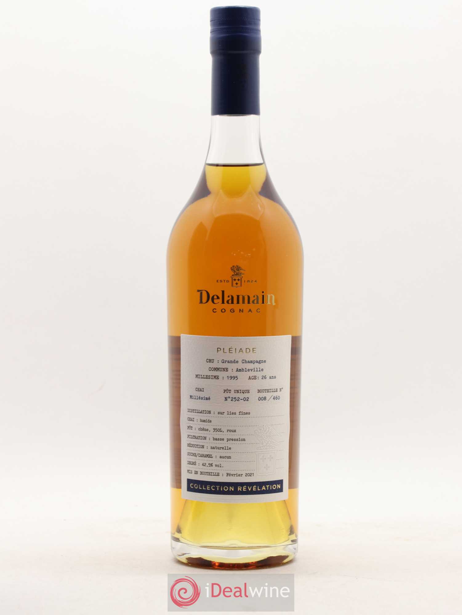 Cognac Delamain 1995 - Posten von 1 Flasche - 1