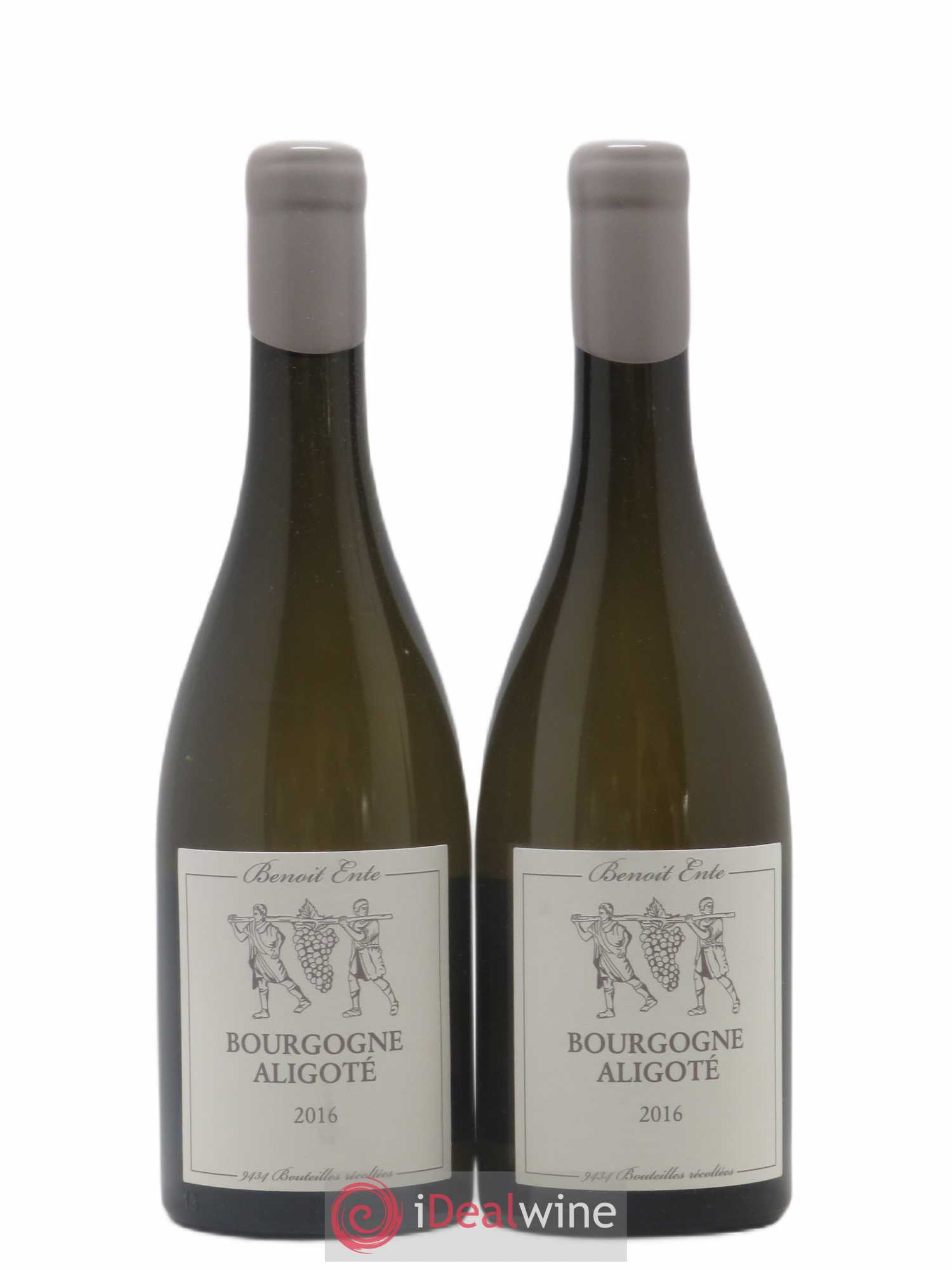 Bourgogne Aligoté Benoit Ente 2016 - Posten von 2 Flaschen - 0