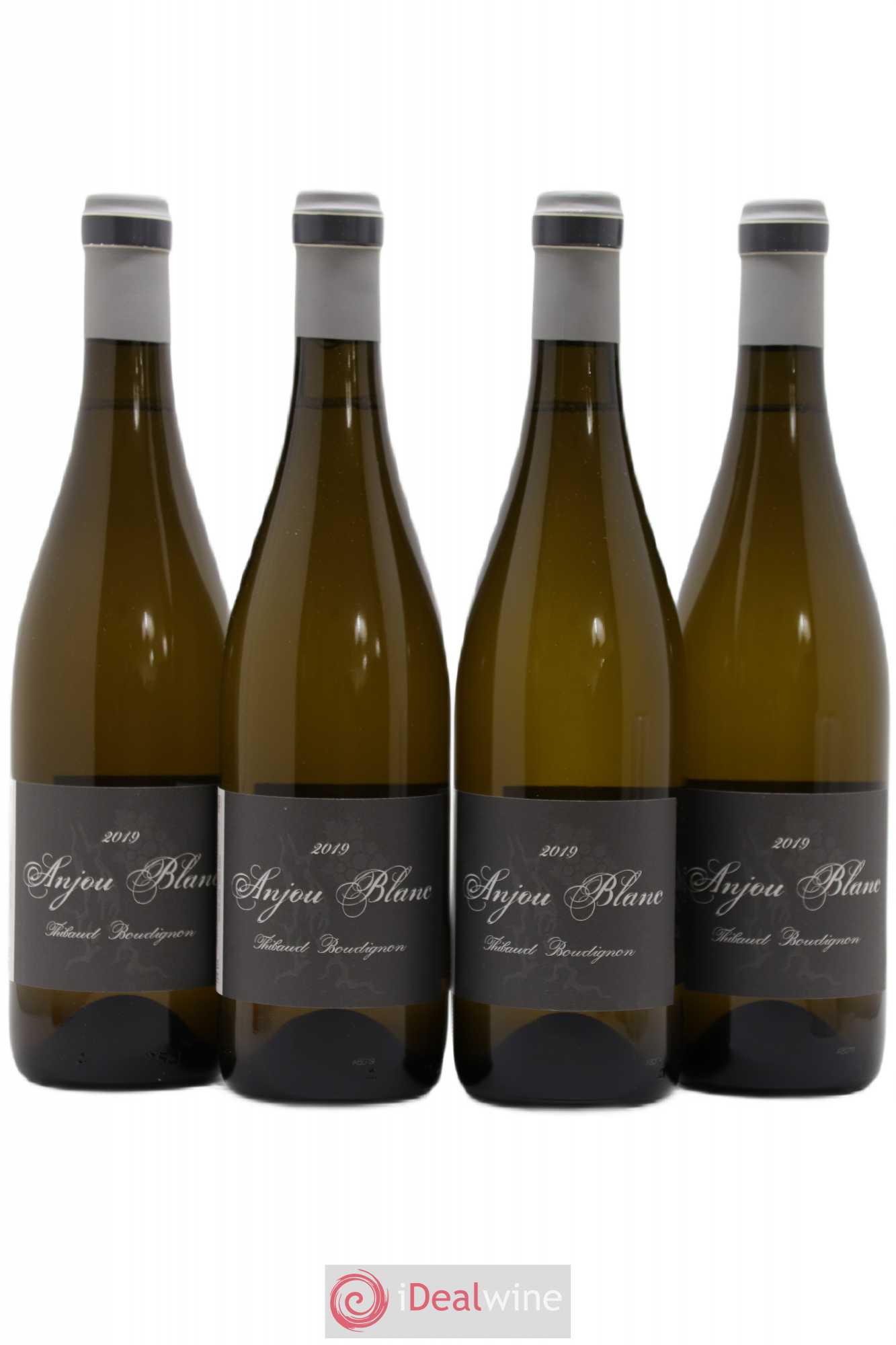 Anjou Thibaud Boudignon 2019 - Lot de 4 bouteilles - 0