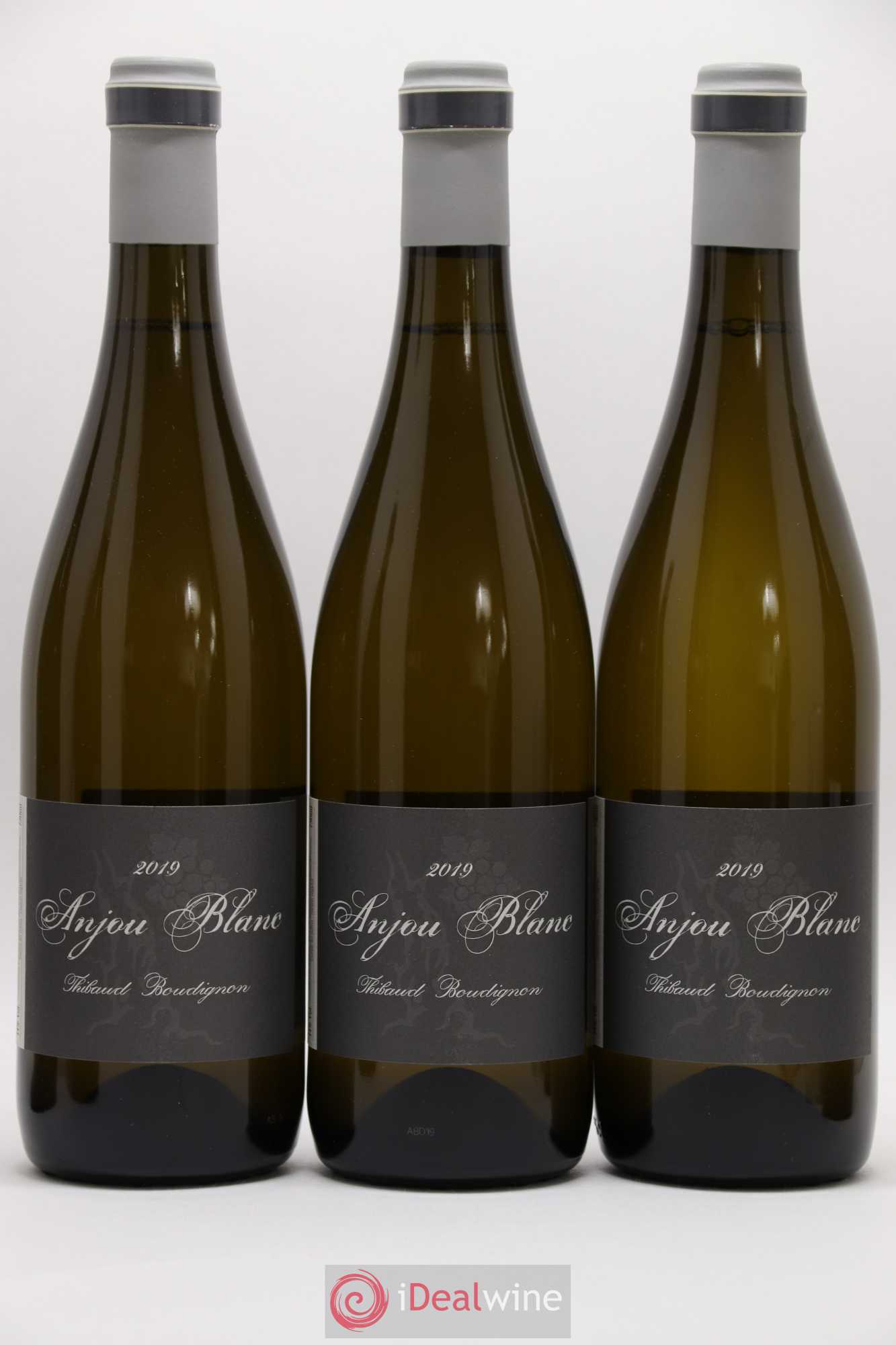 Anjou Thibaud Boudignon 2019 - Lot de 6 bouteilles - 1
