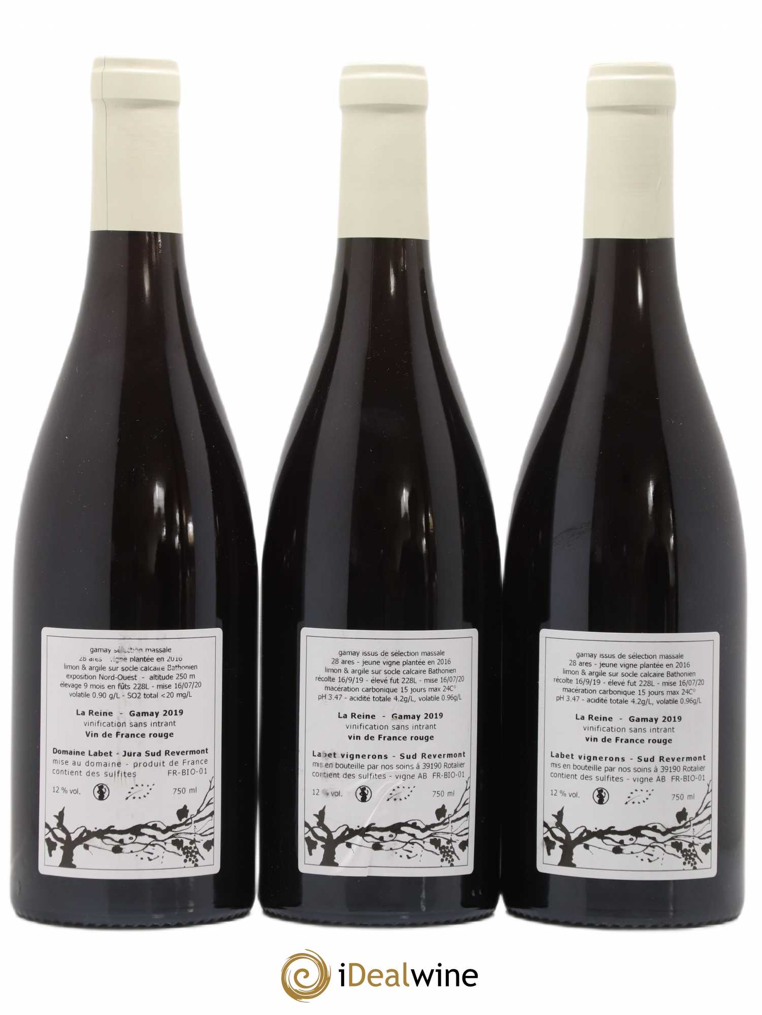 Vin de France Gamay La Reine Labet (Domaine) 2019 - Lot de 3 bouteilles - 1