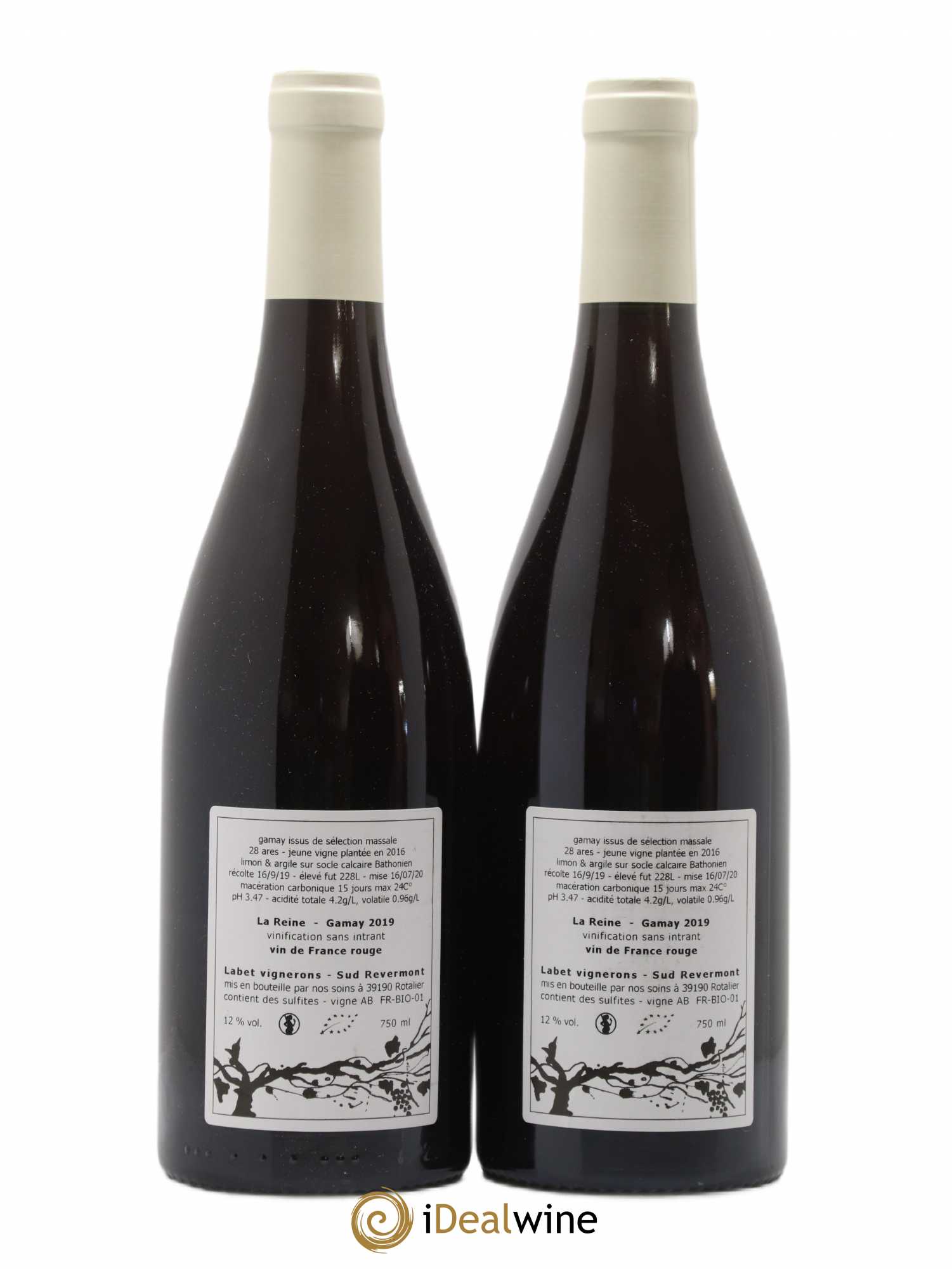 Vin de France Gamay La Reine Labet (Domaine) 2019 - Lot de 2 bouteilles - 1