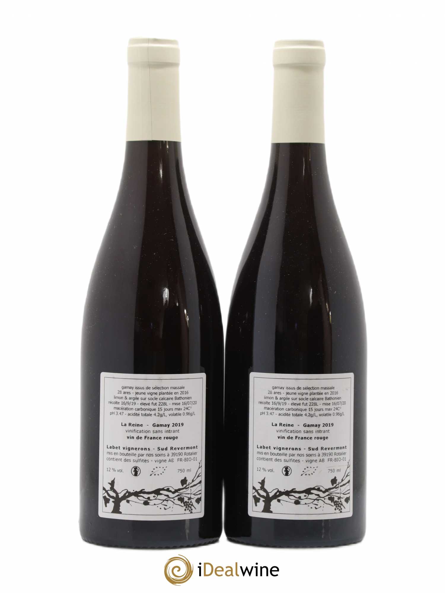 Vin de France Gamay La Reine Labet (Domaine) 2019 - Lot de 2 bouteilles - 1