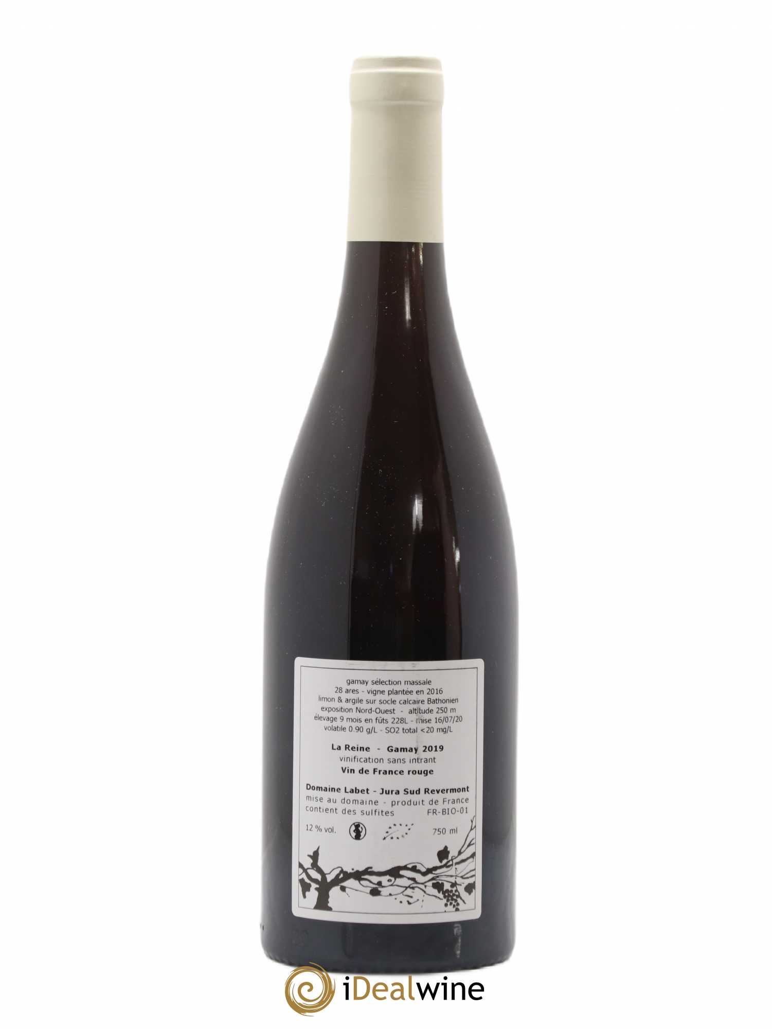 Vin de France Gamay La Reine Labet (Domaine) 2019 - Lot de 1 bouteille - 1
