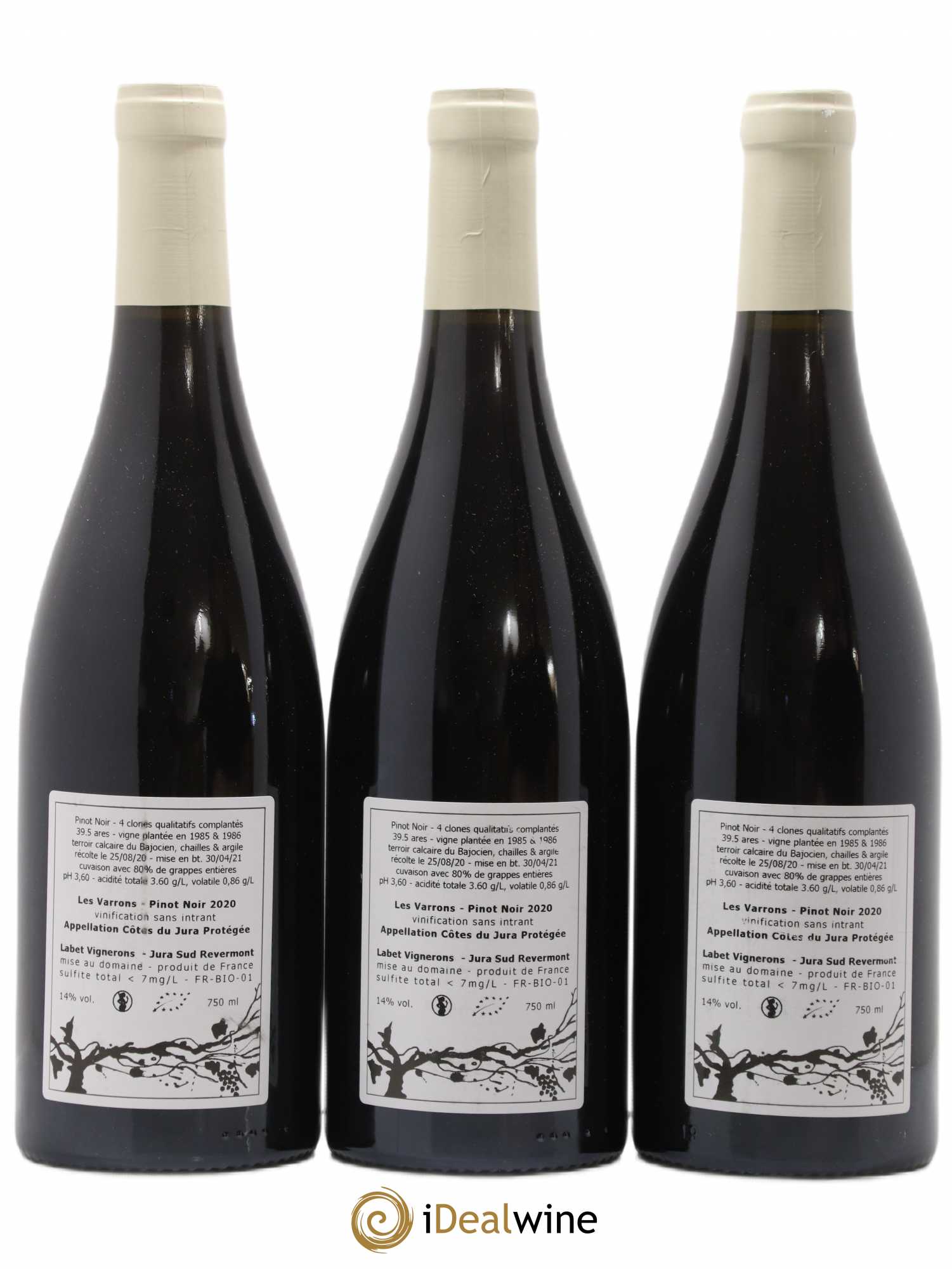 Côtes du Jura Pinot Noir Les Varrons Sélection Massale Romain - Julien  - Charline Labet 2020 - Lot de 3 bouteilles - 1