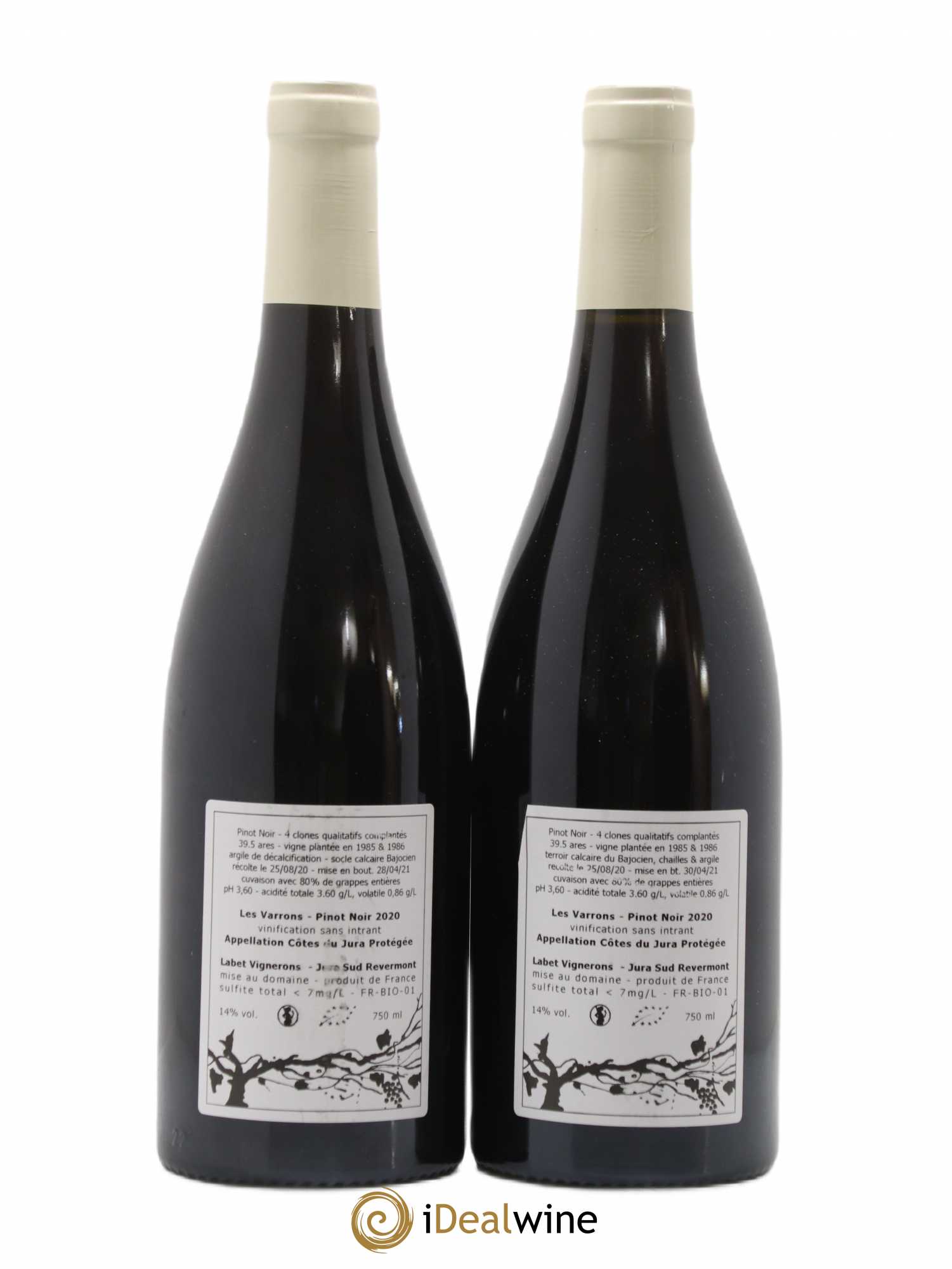 Côtes du Jura Pinot Noir Les Varrons Sélection Massale Romain - Julien - Charline Labet 2020 - Lot de 2 bouteilles - 1