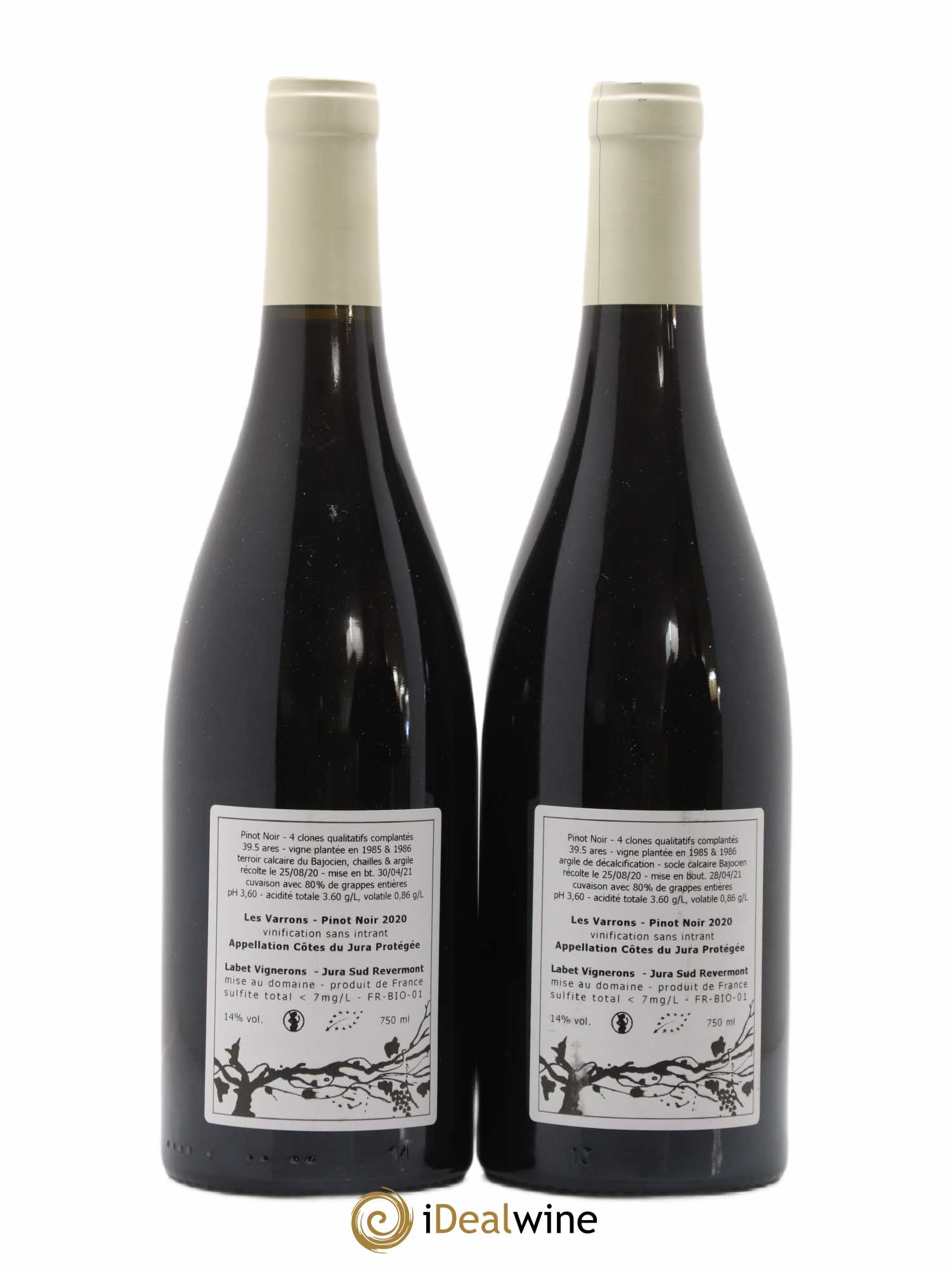 Côtes du Jura Pinot Noir Les Varrons Sélection Massale Romain - Julien  - Charline Labet 2020 - Lot de 2 bouteilles - 1