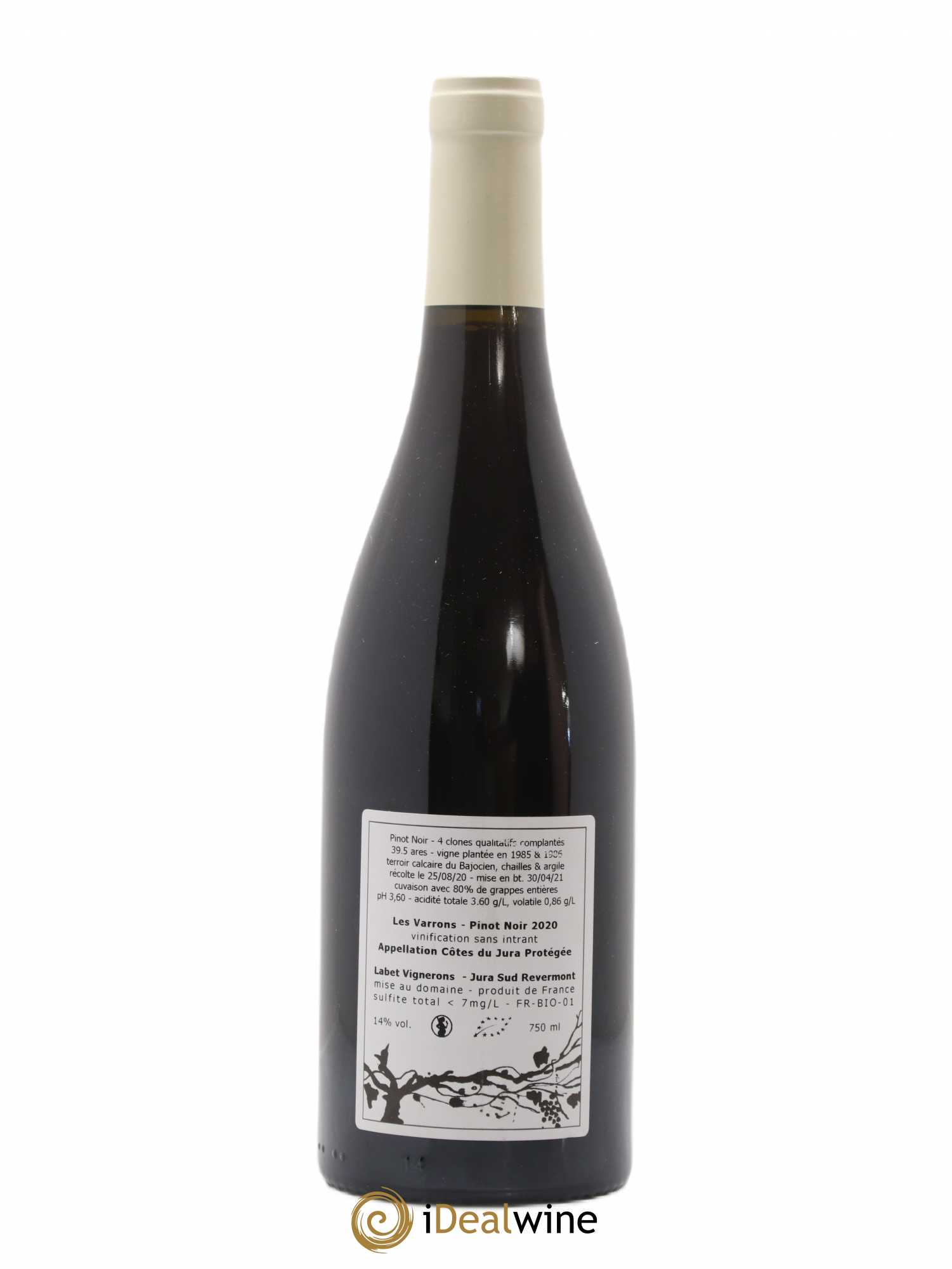 Côtes du Jura Pinot Noir Les Varrons Sélection Massale Romain - Julien - Charline Labet 2020 - Lot de 1 bouteille - 1