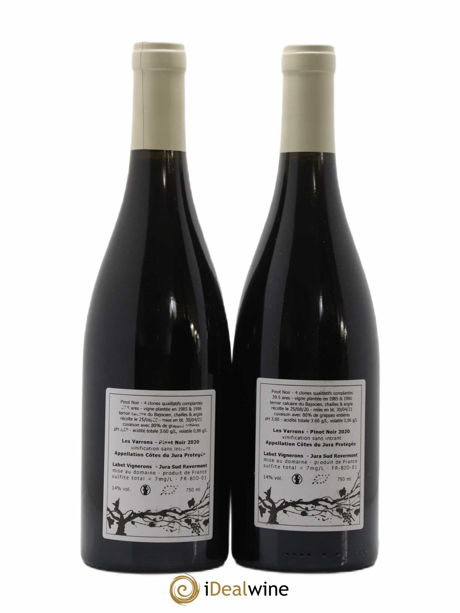 Côtes du Jura Pinot Noir Les Varrons Sélection Massale Romain - Julien - Charline Labet 2020 - Lot de 2 bouteilles - 1