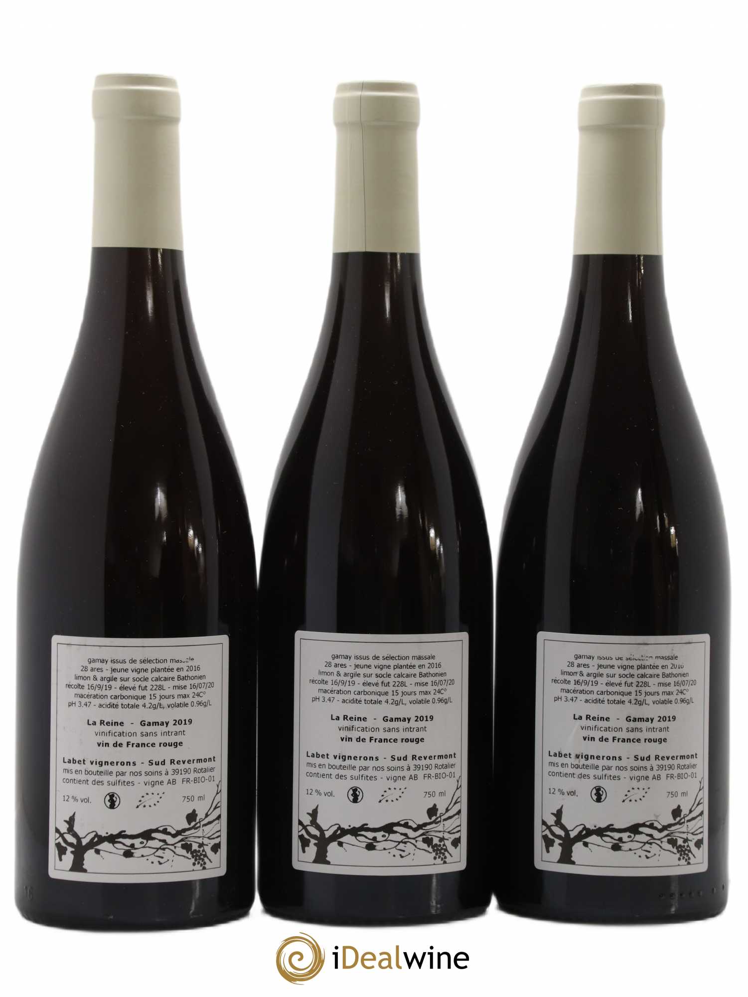 Vin de France Gamay La Reine Labet (Domaine) 2019 - Lot de 3 bouteilles - 1