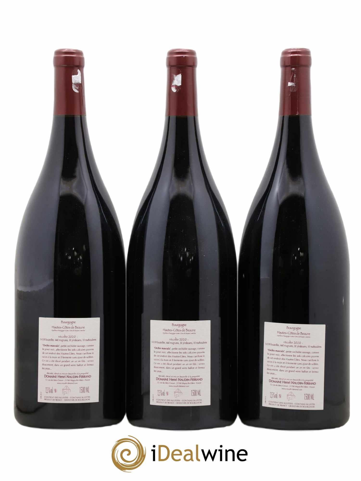 Hautes-Côtes de Beaune Orchis Mascula Naudin-Ferrand (Domaine) 2020 - Lot de 3 magnums - 1