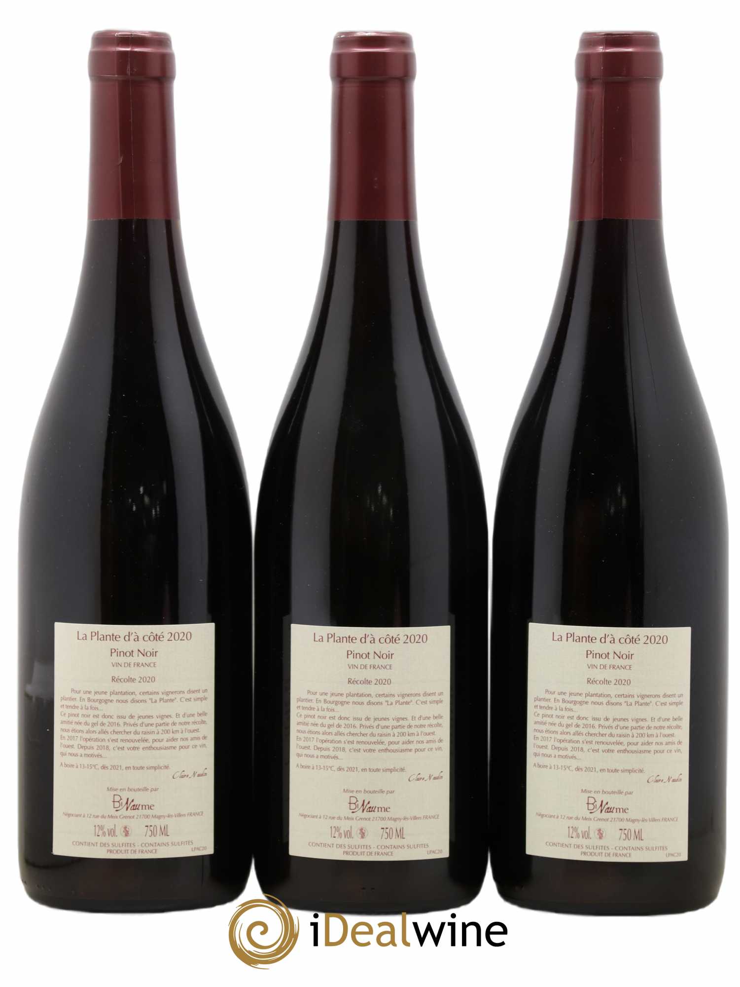 Vin de France La Plante d'à coté Binaume Bizot-Naudin 2020 - Lot de 3 bouteilles - 1