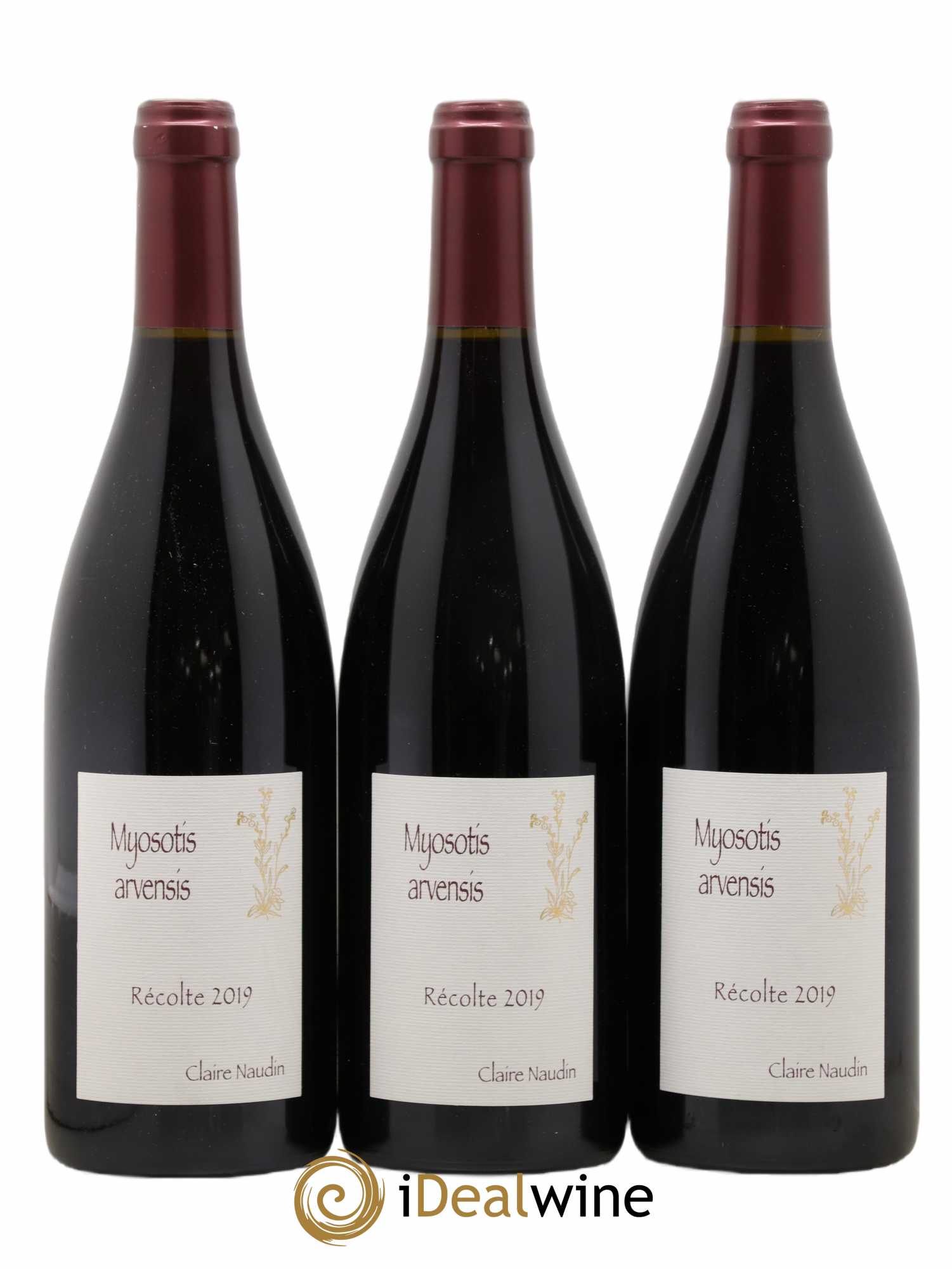 Hautes-Côtes de Nuits Myosotis Arvensis Naudin-Ferrand (Domaine) 2019 - Lot de 3 bouteilles - 0