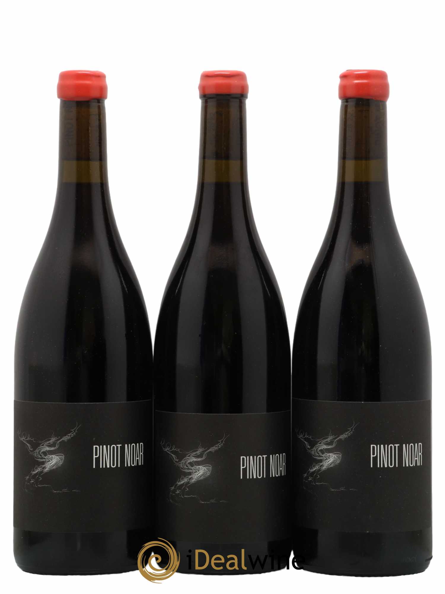 Hautes-Côtes de Nuits Pinot Noar Arnaud Lopez Pinot Noar 2021 - Lot of 3 bottles - 0