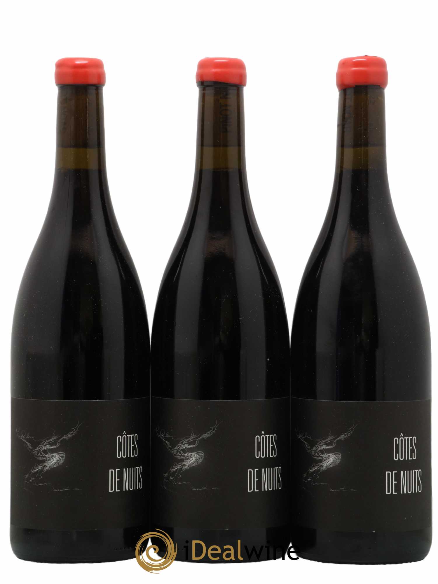 Côte de Nuits-Villages 2021 - Posten von 3 Flaschen - 0