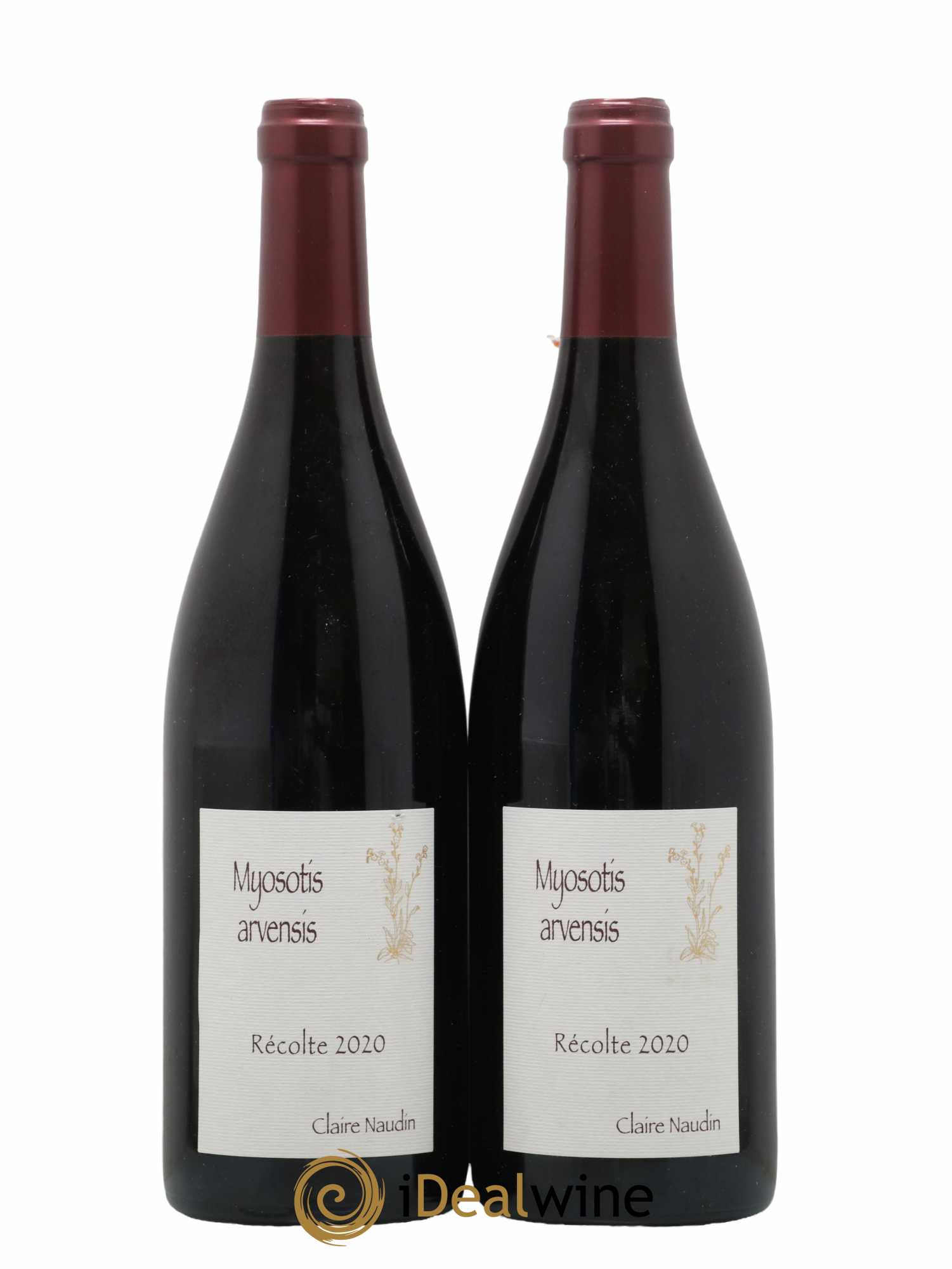 Hautes-Côtes de Nuits Myosotis Arvensis Naudin-Ferrand (Domaine) 2020 - Lotto di 2 bottiglie - 0