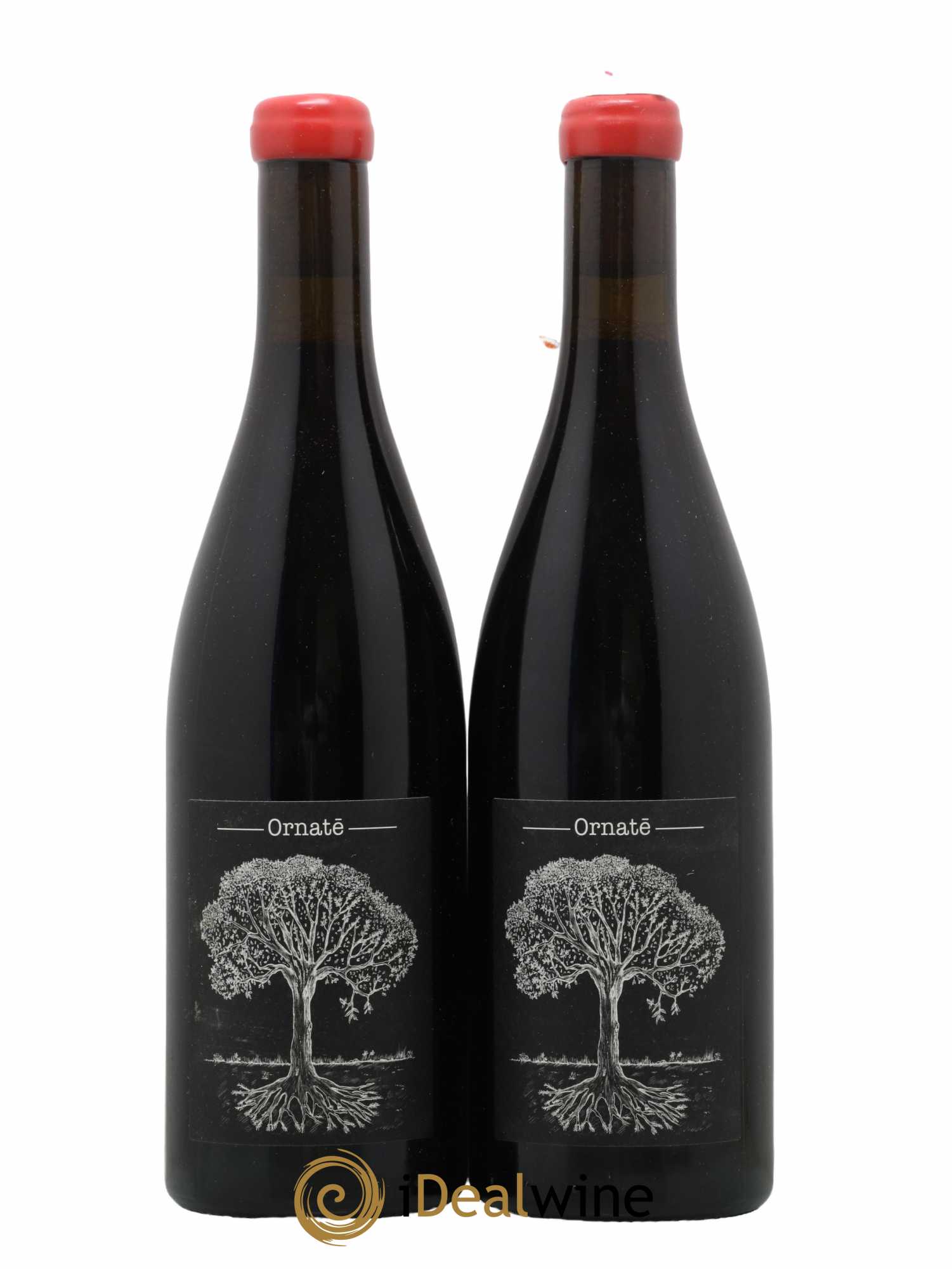Vin de France Merlot Ornaté Jérôme Bretaudeau - Domaine de Bellevue 2021 - Lot of 2 bottles - 0
