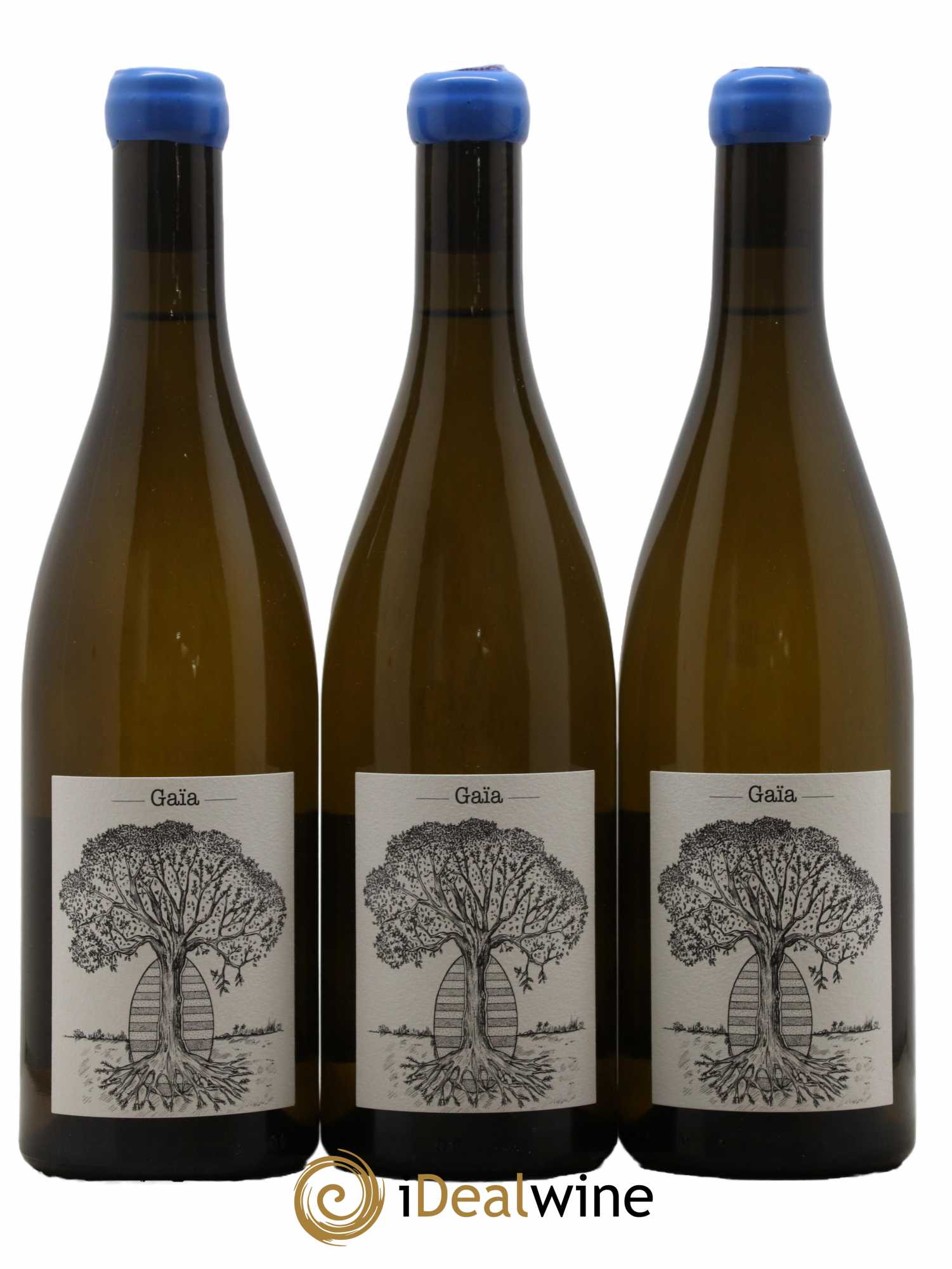 Muscadet-Sèvre-et-Maine Gaia Jérôme Bretaudeau - Domaine de Bellevue 2021 - Lot de 3 bouteilles - 0
