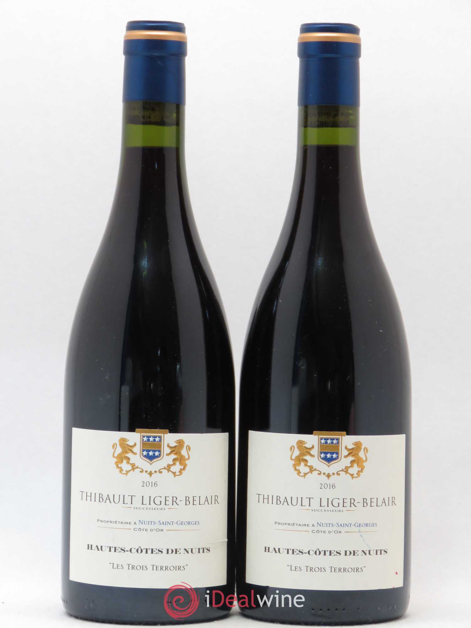 Hautes-Côtes de Nuits Les 3 Terroirs Thibault Liger Belair 2016 - Posten von 2 Flaschen - 0
