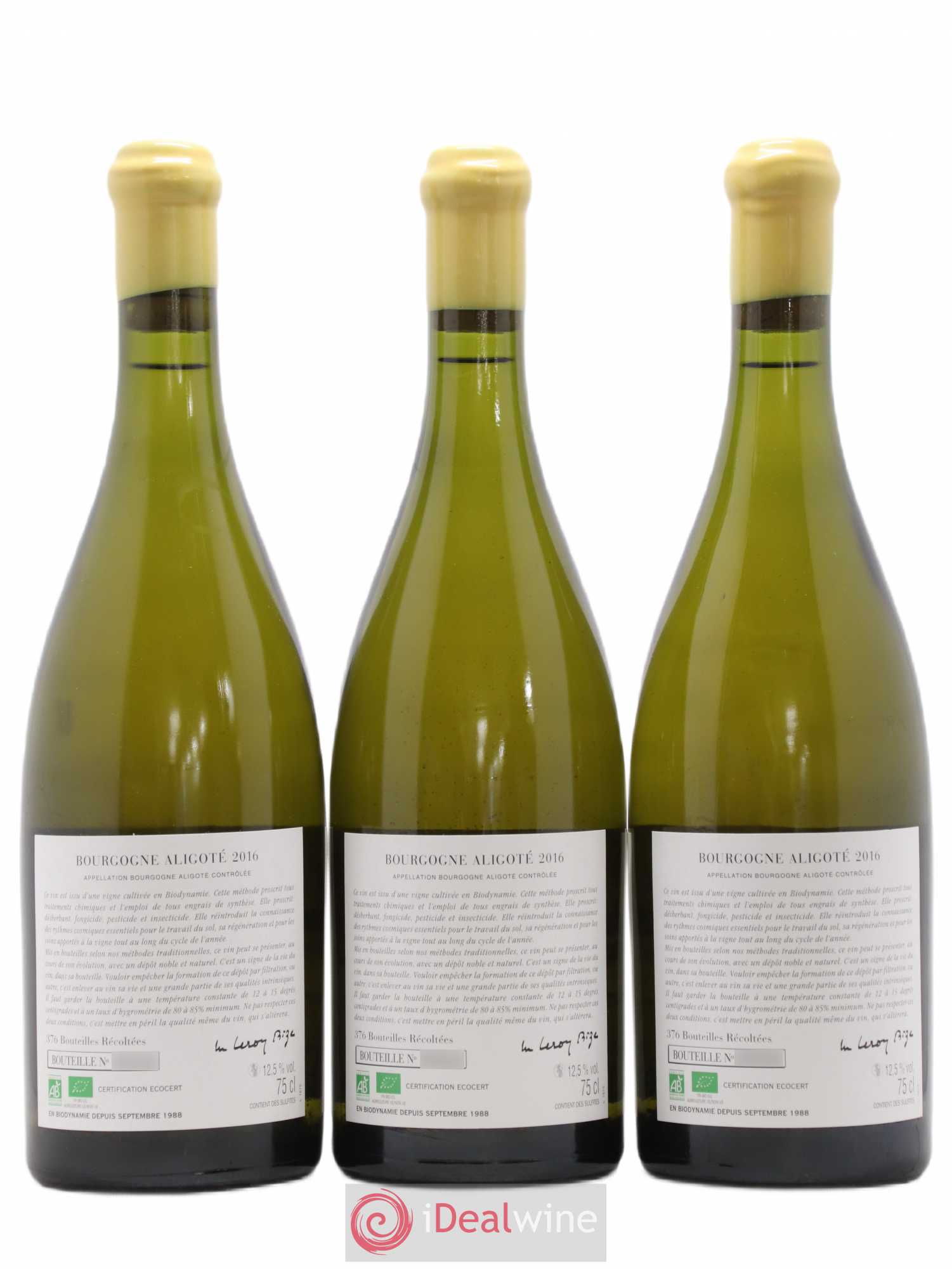 Bourgogne Aligoté Sous Chatelet d'Auvenay (Domaine) 2016 - Lot de 3 bouteilles - 1