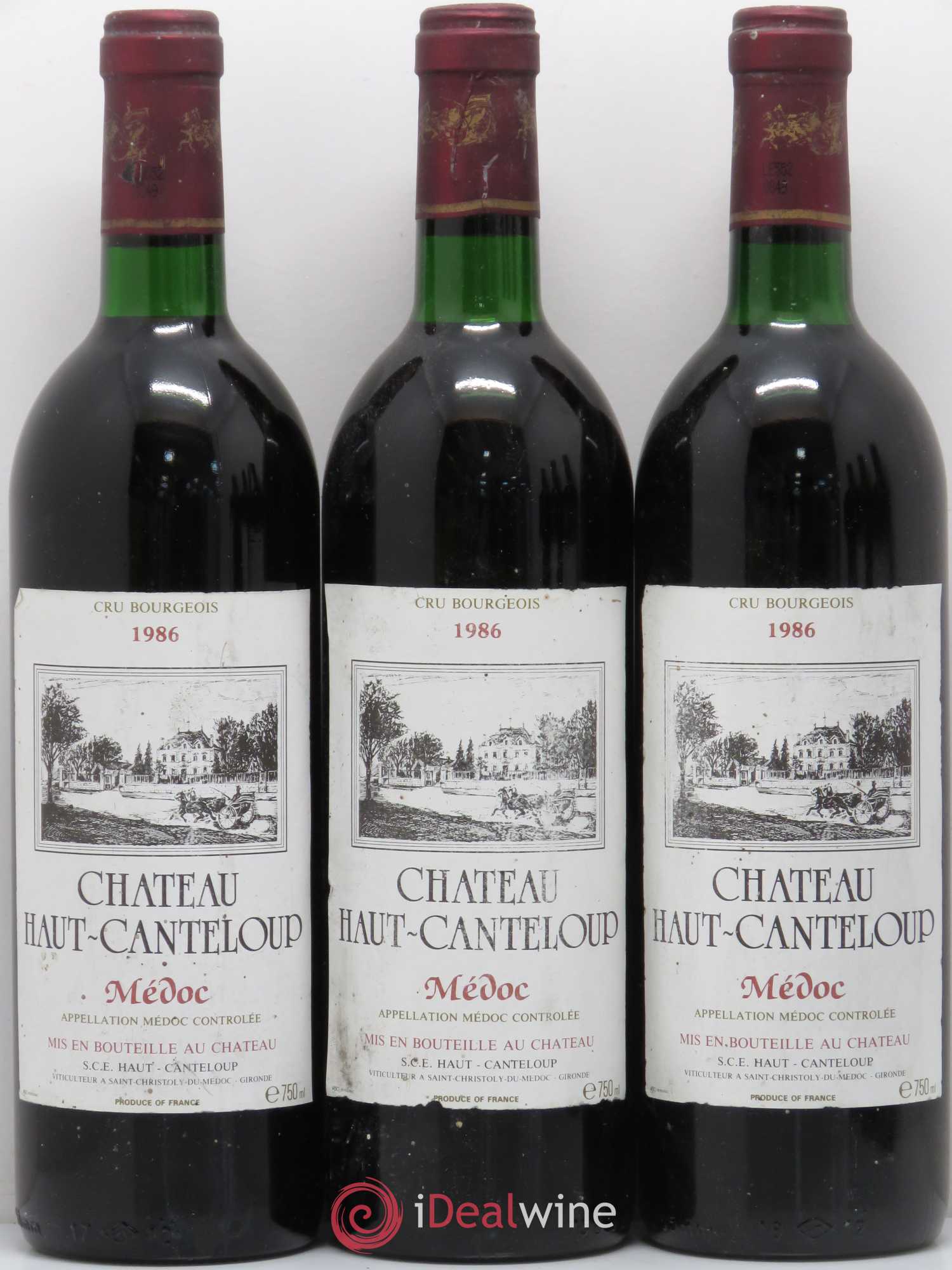 Château Haut Canteloup Cru Bourgeois  (sans prix de réserve) 1986 - Lot de 6 bouteilles - 1