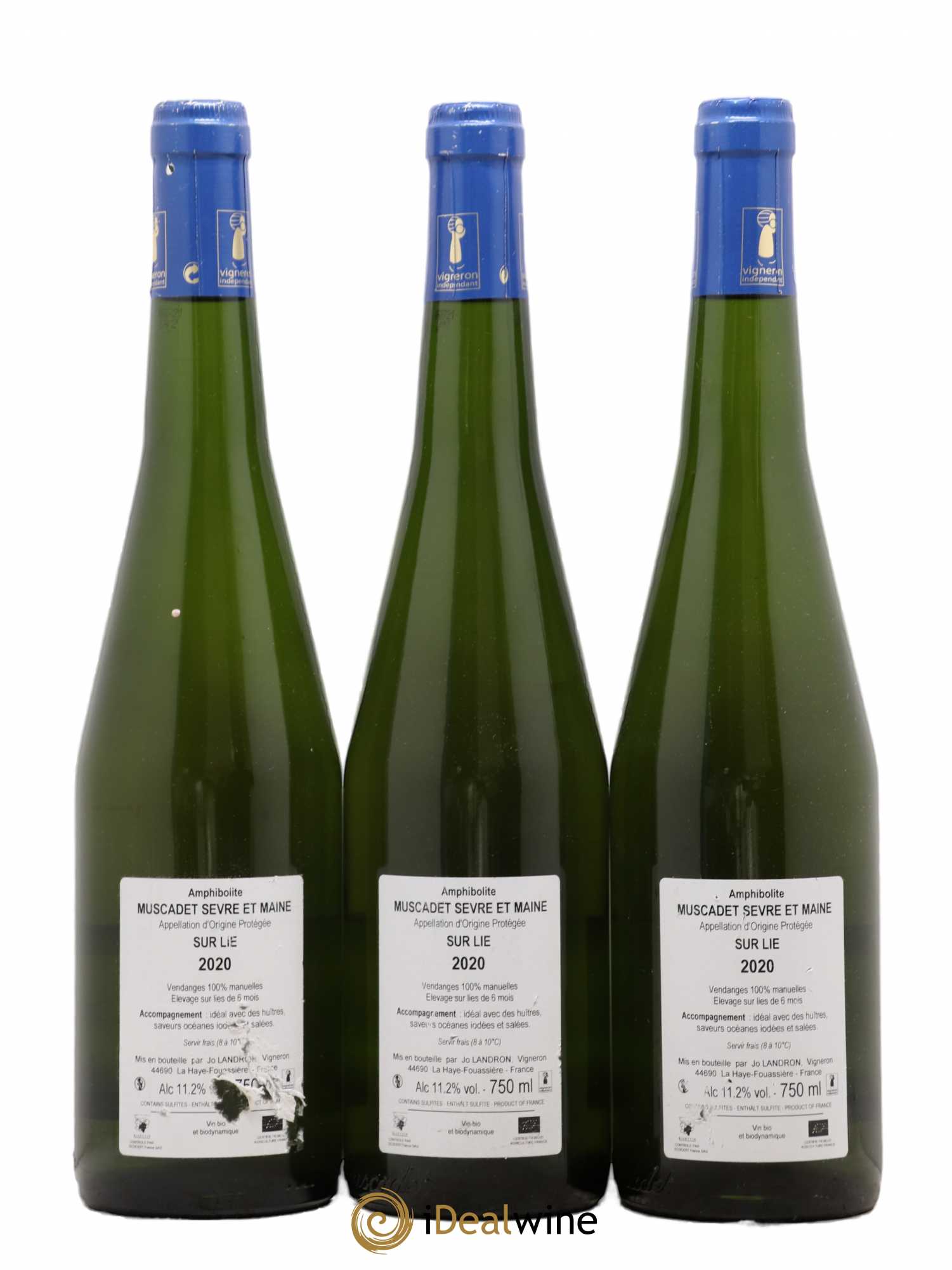Muscadet-Sèvre-et-Maine Amphibolite Jo Landron  (senza prezzo di riserva) (senza prezzo di riserva) 2020 - Lotto di 3 bottiglie - 1