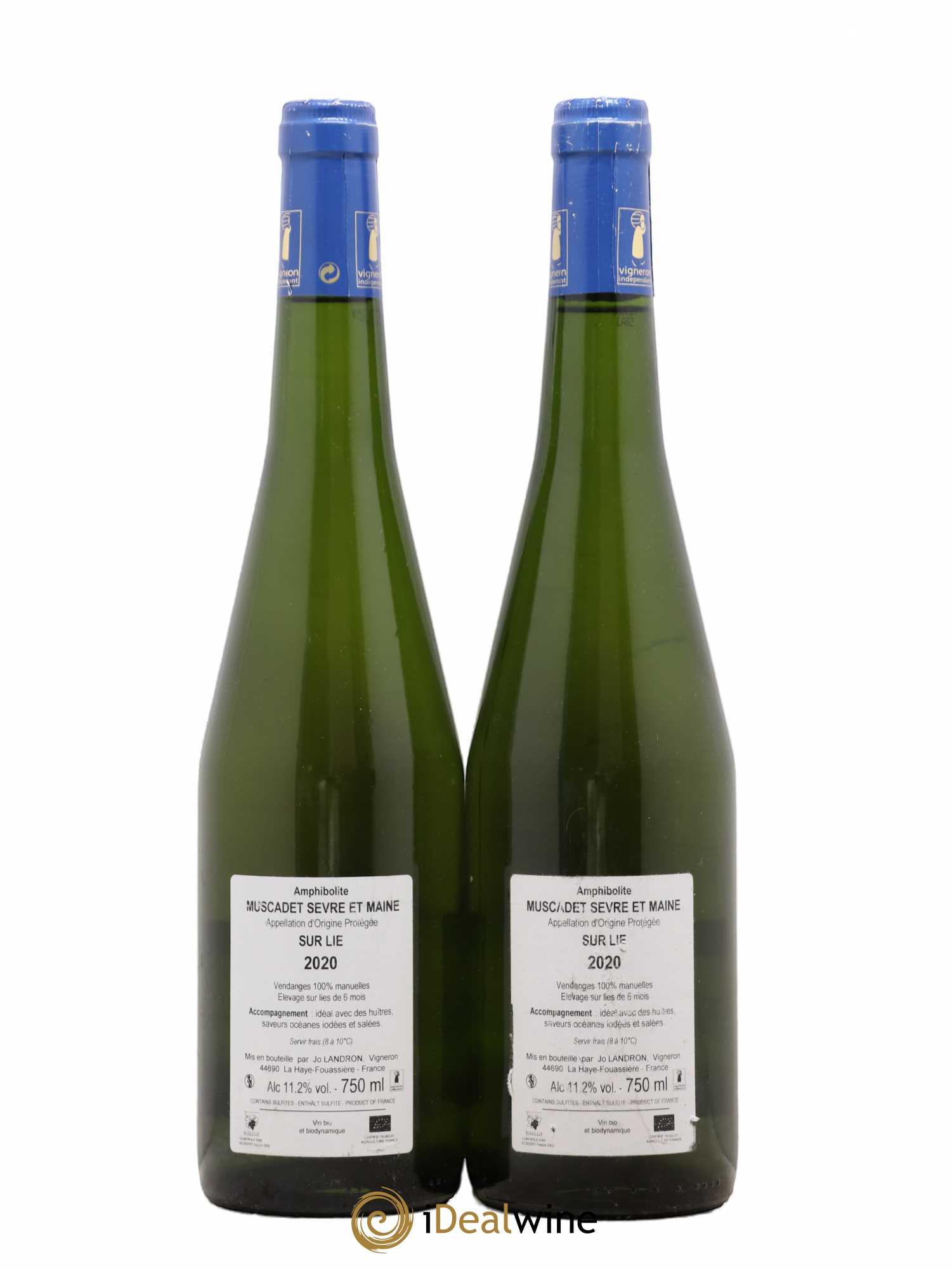 Muscadet-Sèvre-et-Maine Amphibolite Jo Landron (senza prezzo di riserva) (senza prezzo di riserva) 2020 - Lotto di 2 bottiglie - 1