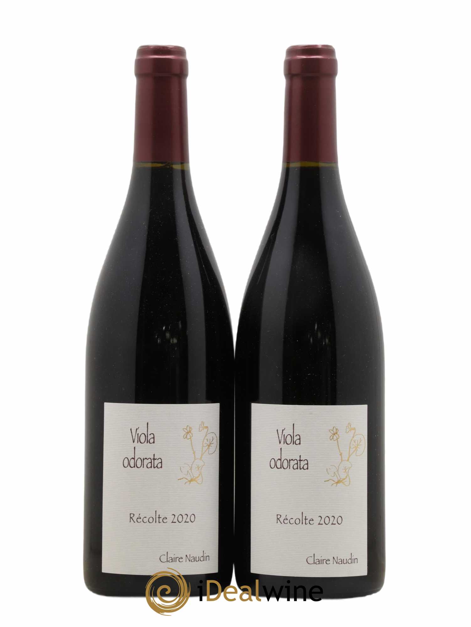 Côte de Nuits-Villages Viola Odorata Claire Naudin 2020 - Lot de 2 bouteilles - 0