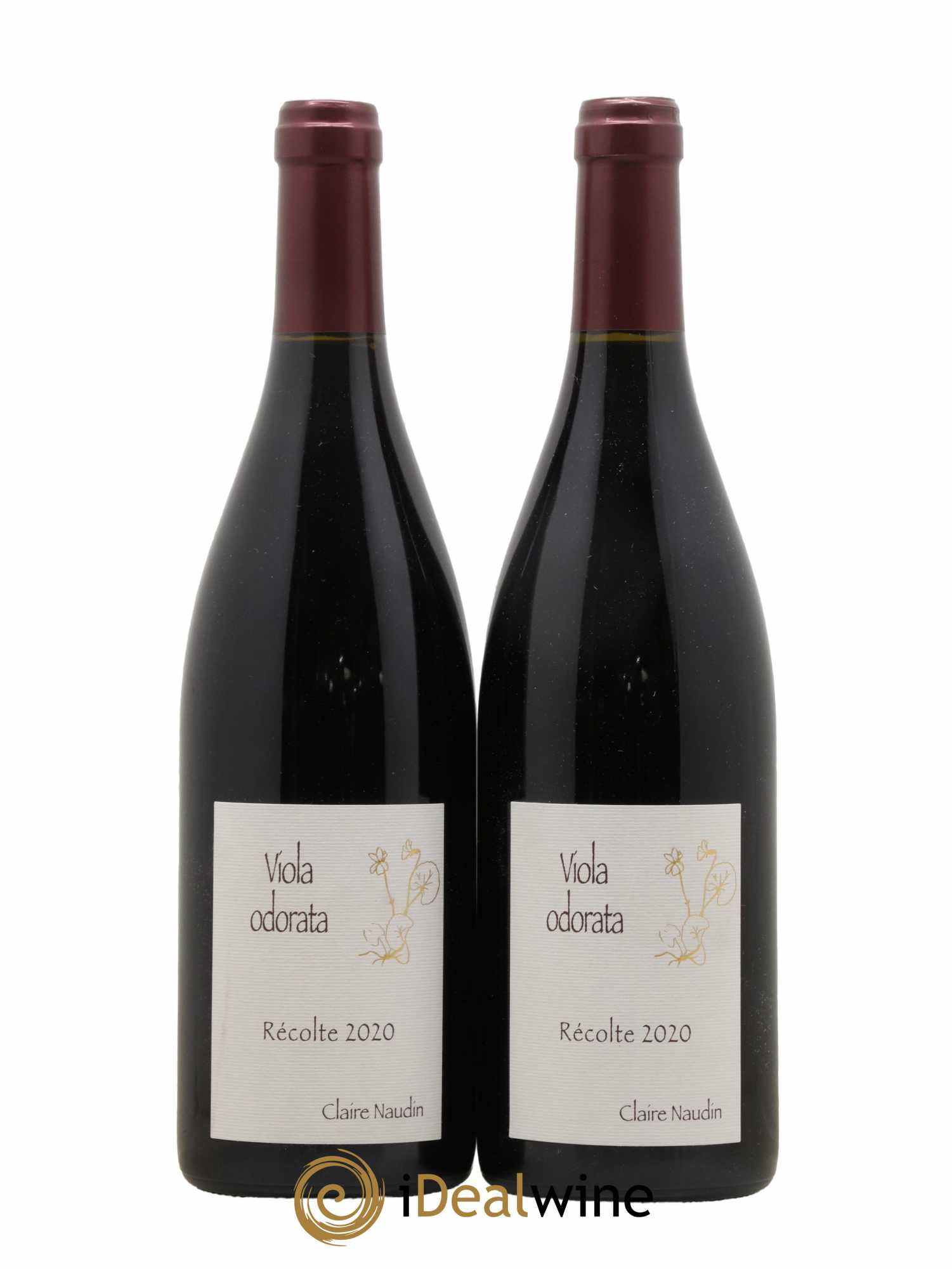 Côte de Nuits-Villages Viola Odorata Claire Naudin 2020 - Lot de 2 bouteilles - 0