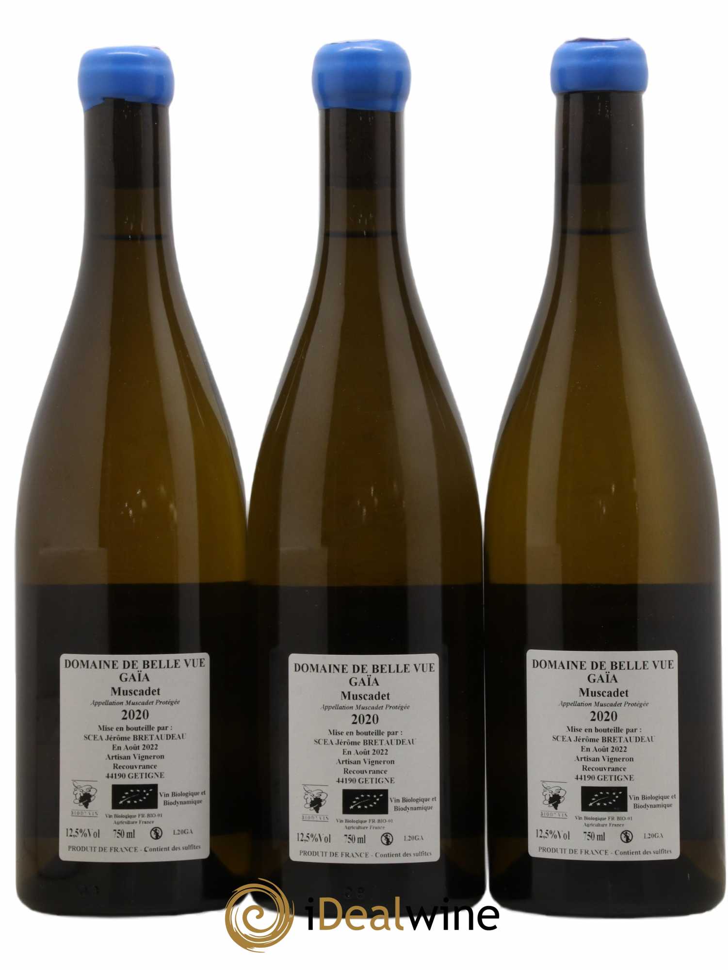 Muscadet-Sèvre-et-Maine Gaia Jérôme Bretaudeau - Domaine de Bellevue 2020 - Lot de 3 bouteilles - 1