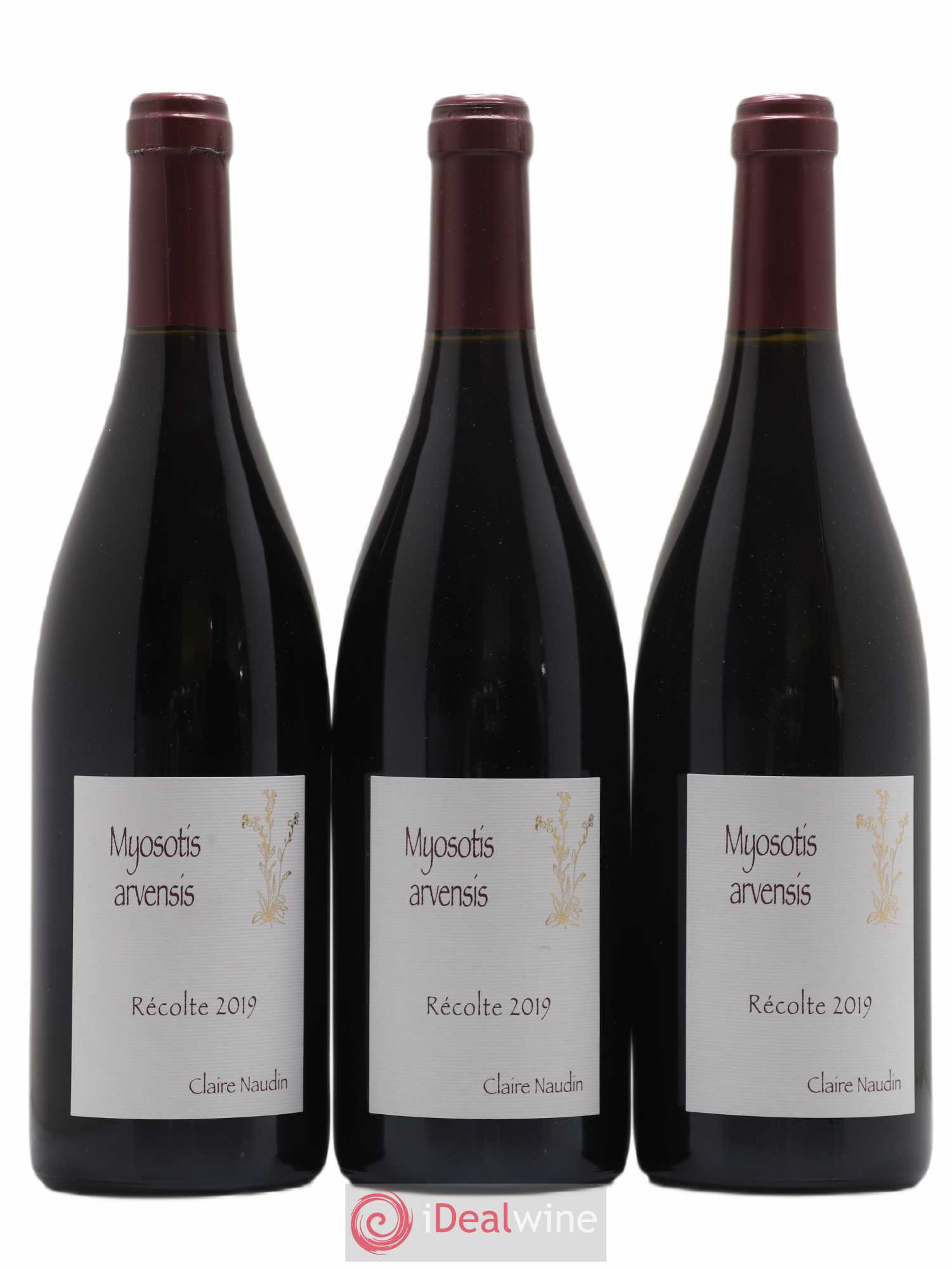 Hautes-Côtes de Nuits Myosotis Arvensis Naudin-Ferrand (Domaine) 2019 - Lot de 3 bouteilles - 0
