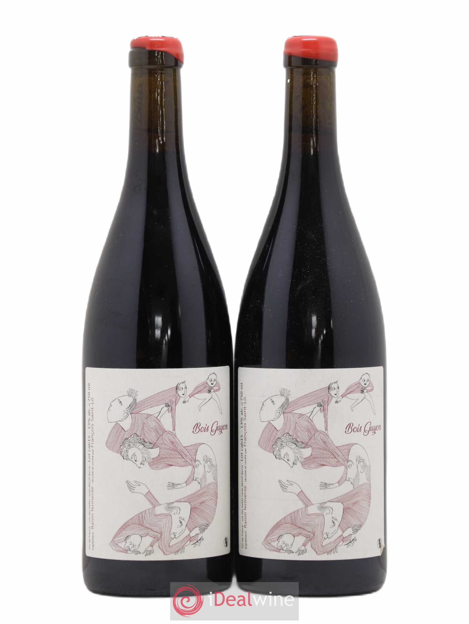 Vin de France Bois Guyon Francois Saint-Lo 2015 - Posten von 2 Flaschen - 0