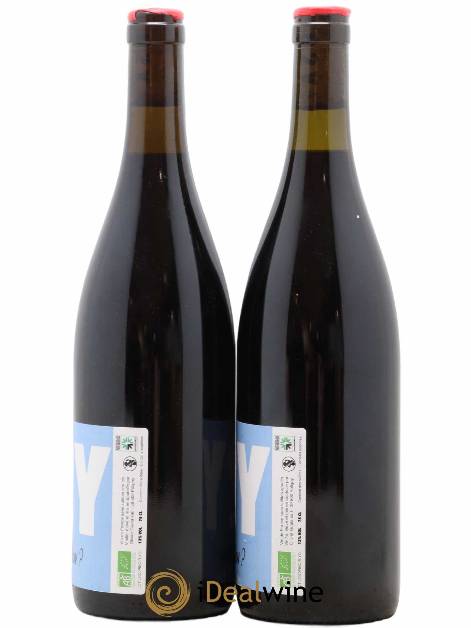 Vin de France O2Y Pourquoi Non Olivier Guala (no reserve) 2020 - Lot of 2 bottles - 1