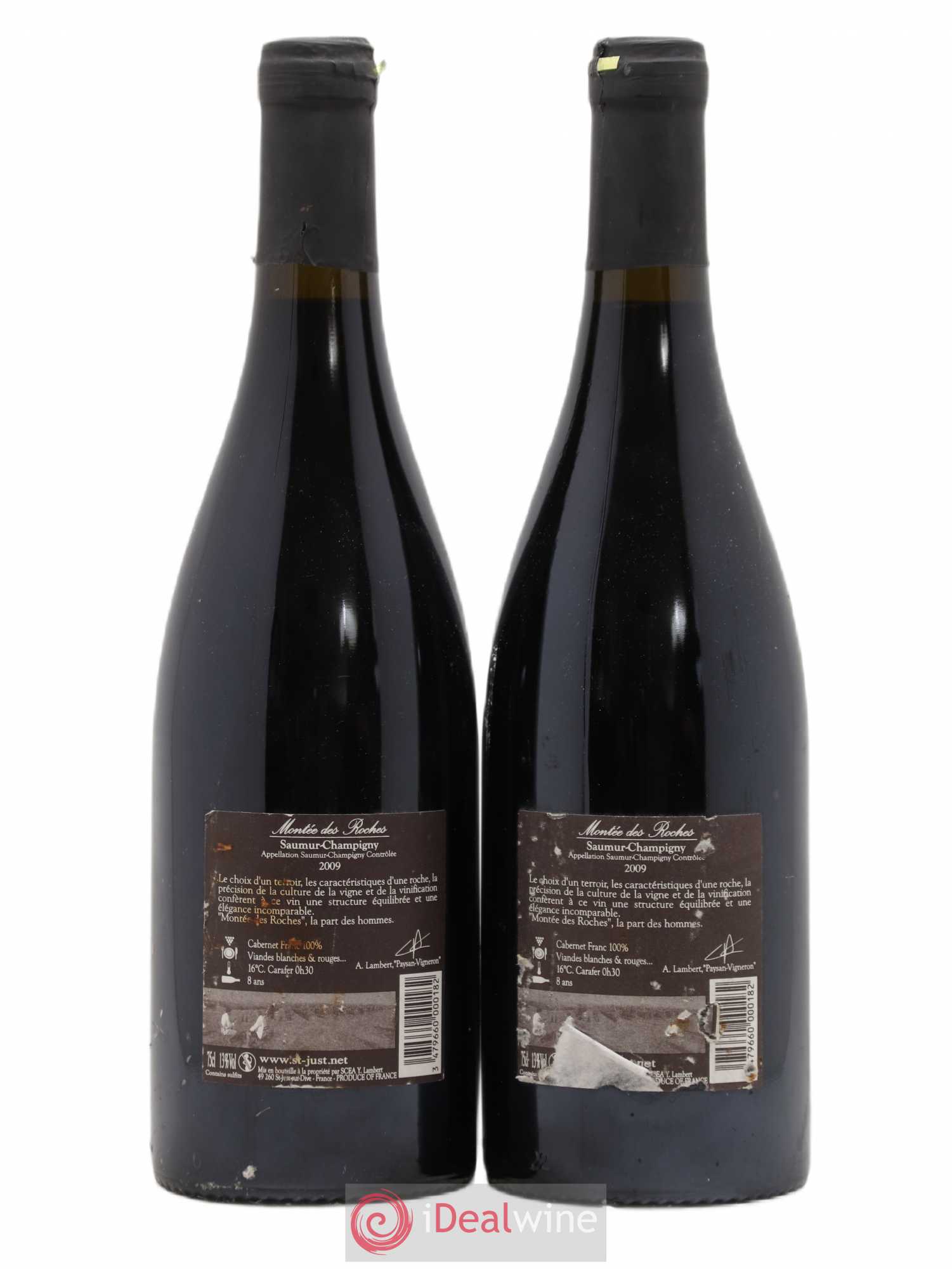 Saumur-Champigny Saint Just Montee Roches Vieilles vignes 2009 - Posten von 2 Flaschen - 1