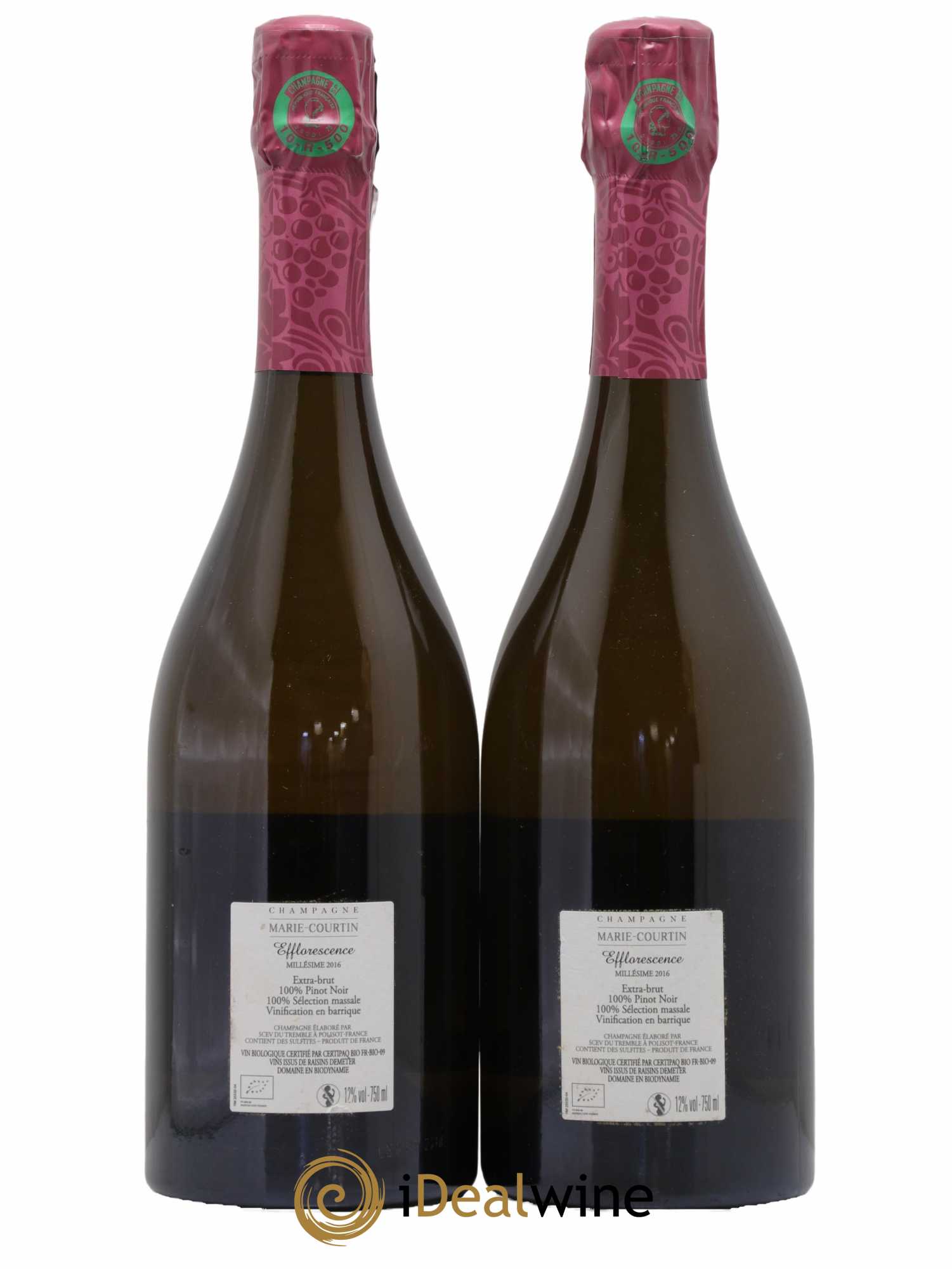 Champagne Efflorescence Domaine Marie Courtin 2016 - Lot de 2 bouteilles - 1