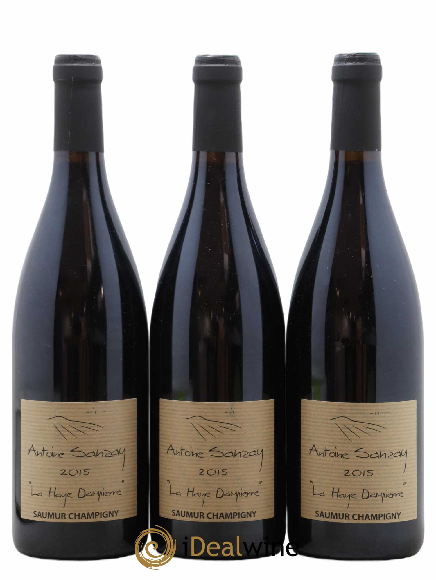 Saumur-Champigny La Haye Dampierre Antoine Sanzay 2015 - Lot de 3 bouteilles - 0