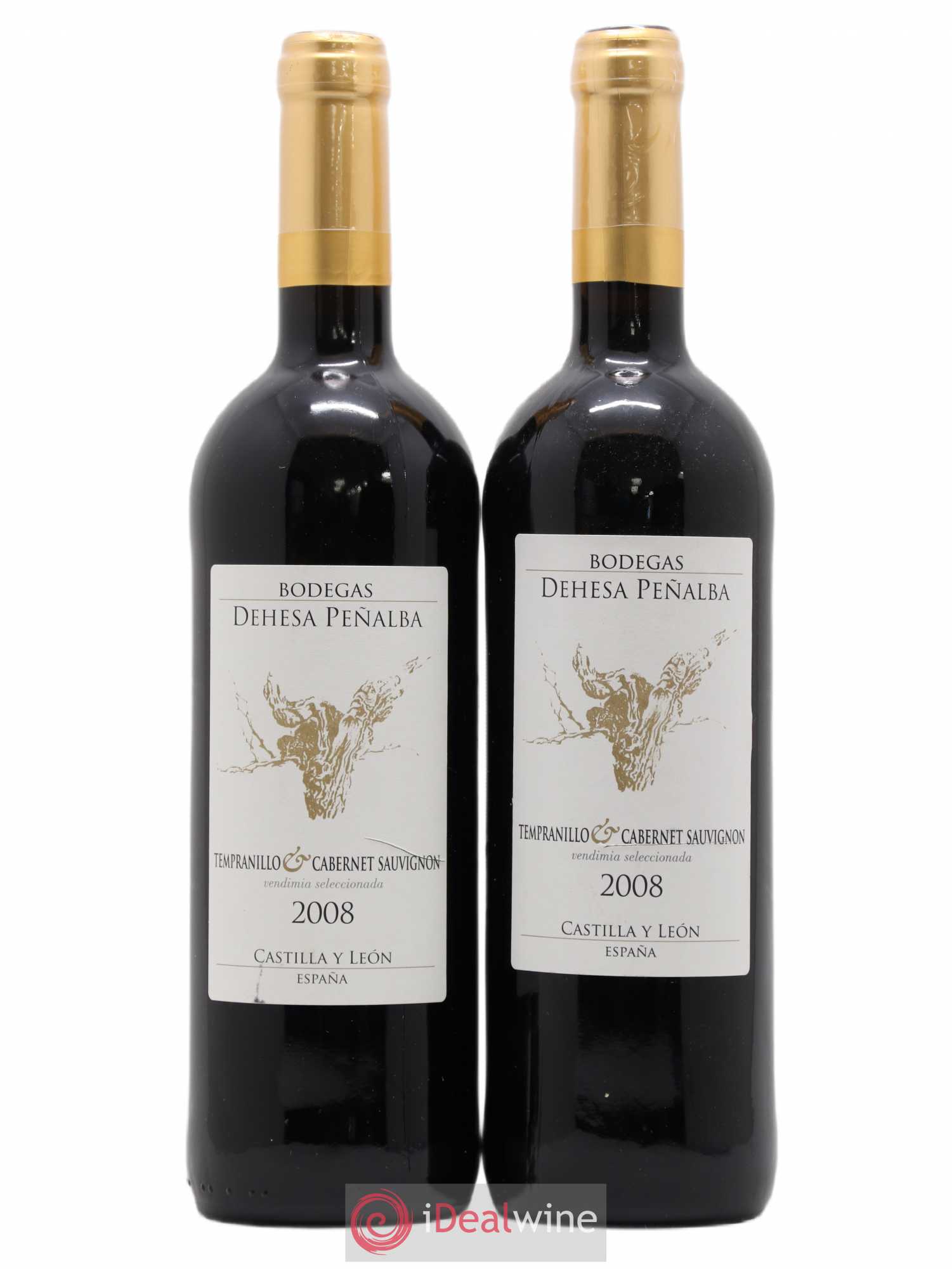 Castilla y Leon Tempranillo Bodegas Dehesa Penalba La Verde 2008 - Posten von 2 Flaschen - 0