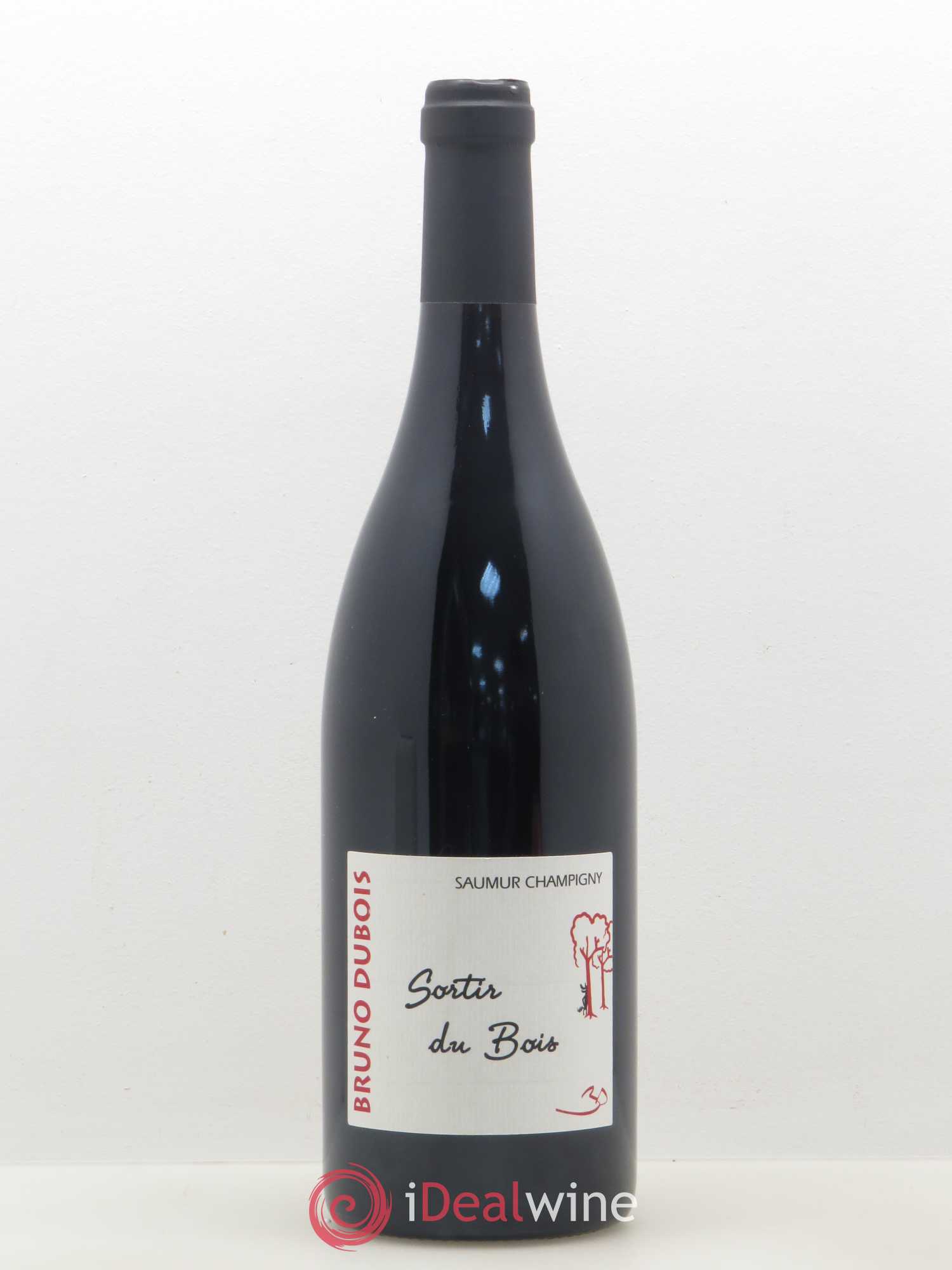 Saumur-Champigny Cuvée Sortir du Bois Domaine Bruno Dubois 2011 - Posten von 1 Flasche - 0