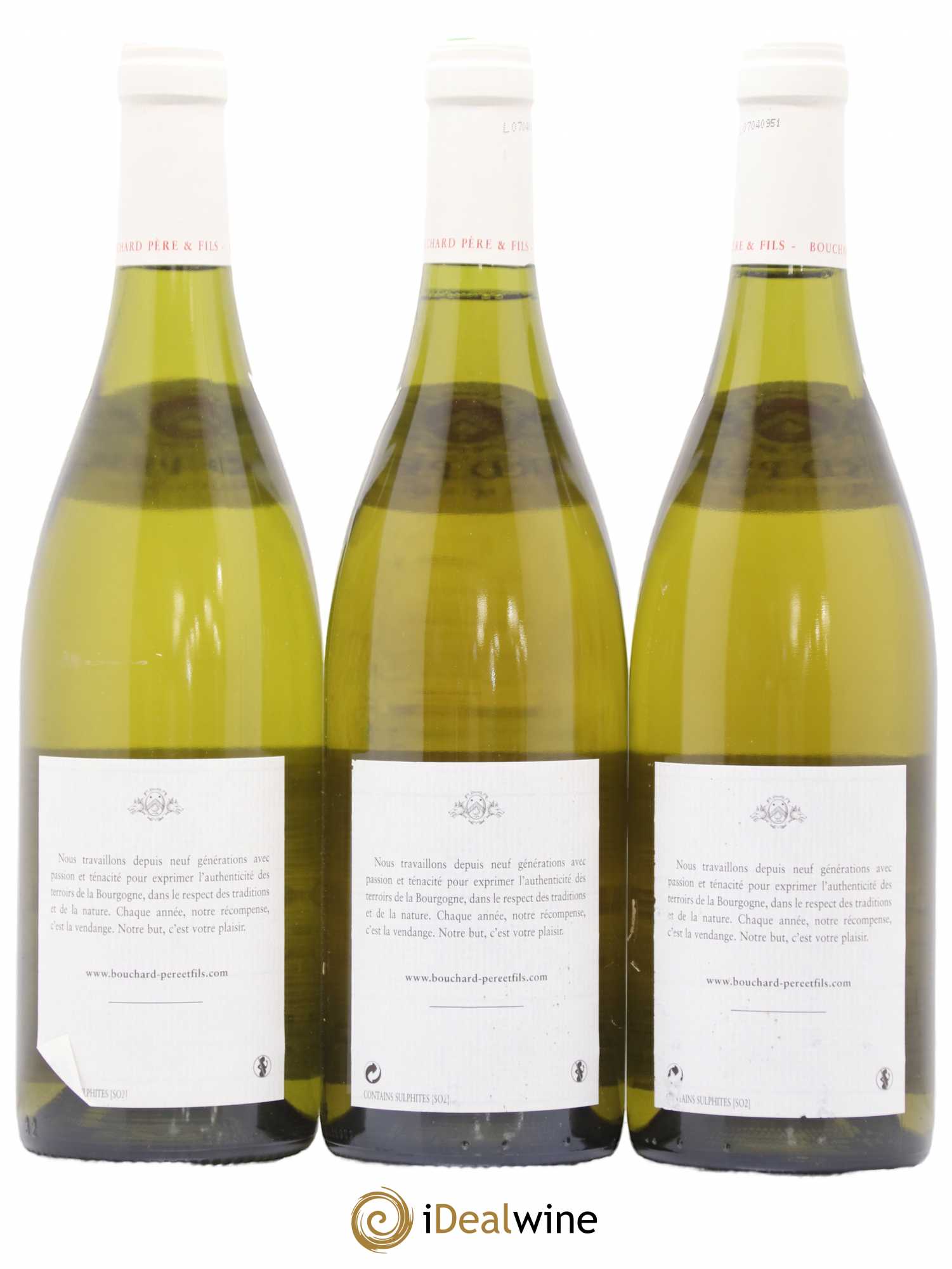 Corton-Charlemagne Grand Cru Bouchard Père & Fils 2005 - Lot de 6 bouteilles - 2
