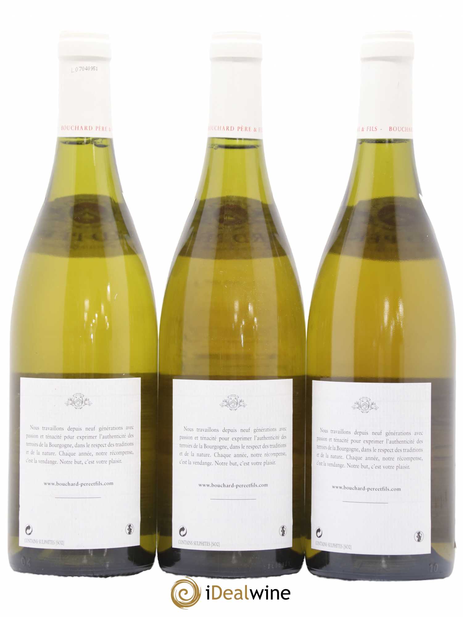 Corton-Charlemagne Grand Cru Bouchard Père & Fils 2005 - Lot de 6 bouteilles - 4