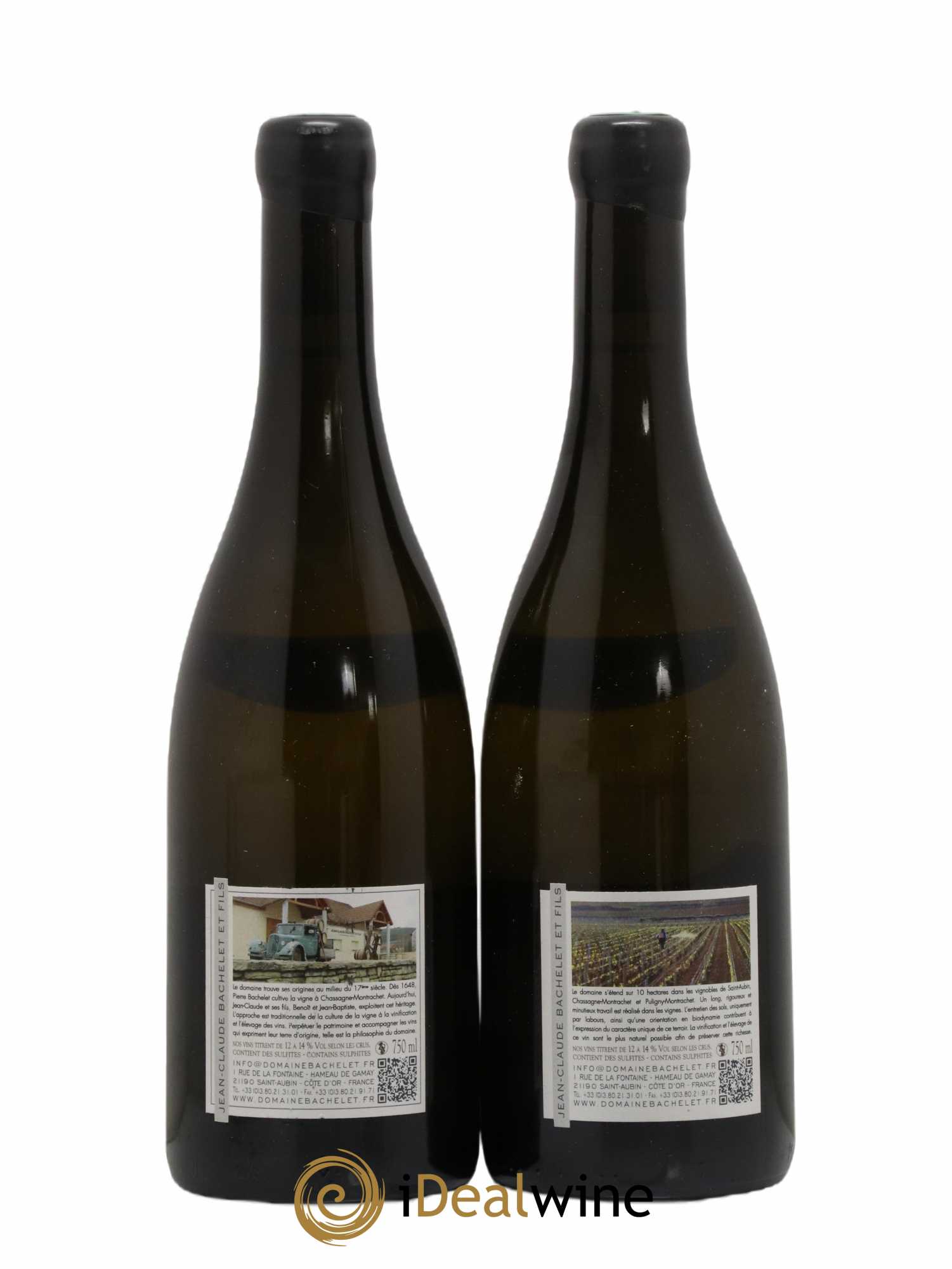 Chassagne-Montrachet 1er Cru Blanchot Dessus Jean-Claude Bachelet (Domaine) 2013 - Lot de 2 bouteilles - 1