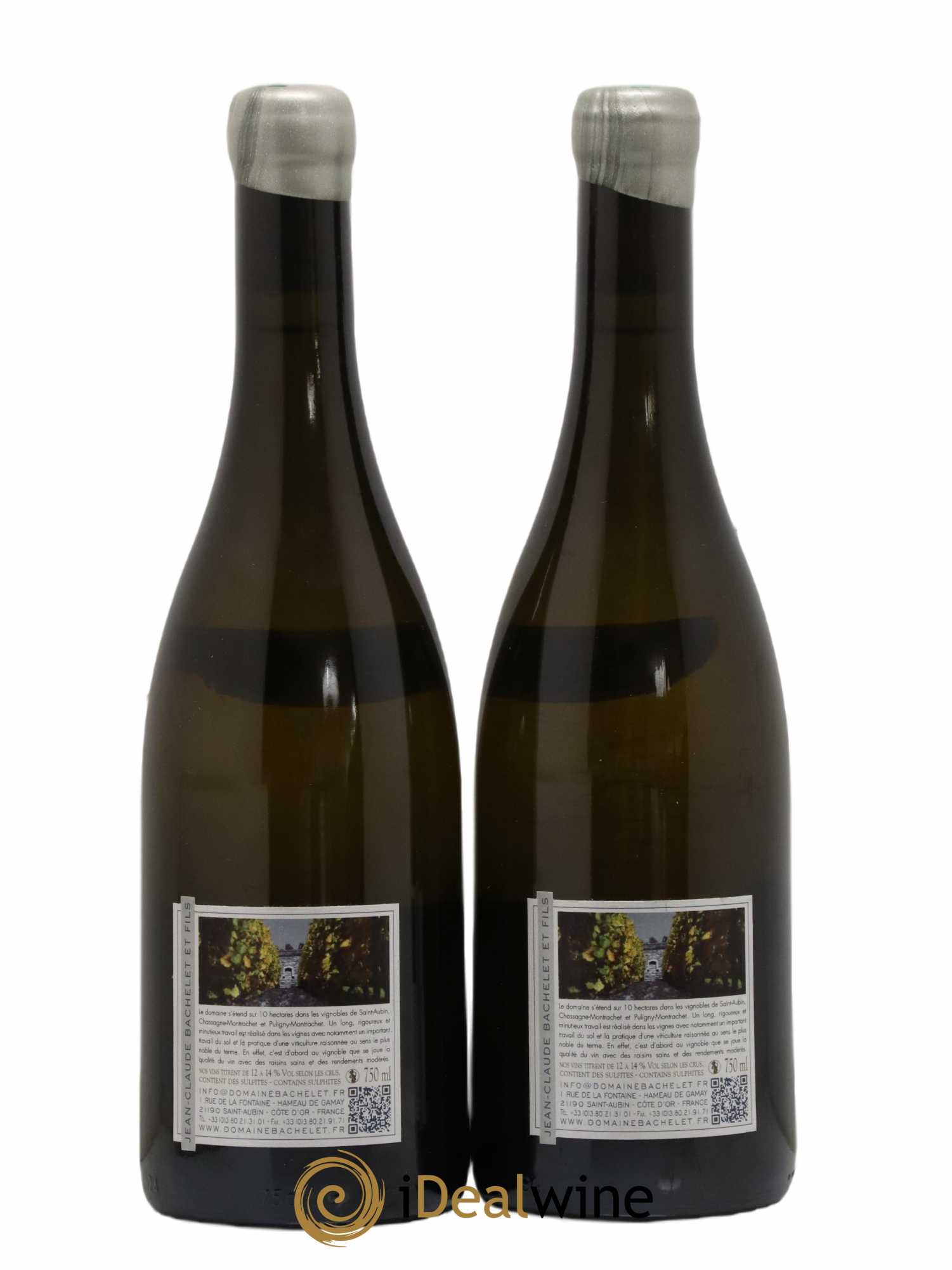 Chassagne-Montrachet 1er Cru Blanchot Dessus Jean-Claude Bachelet (Domaine) 2011 - Lot de 2 bouteilles - 1
