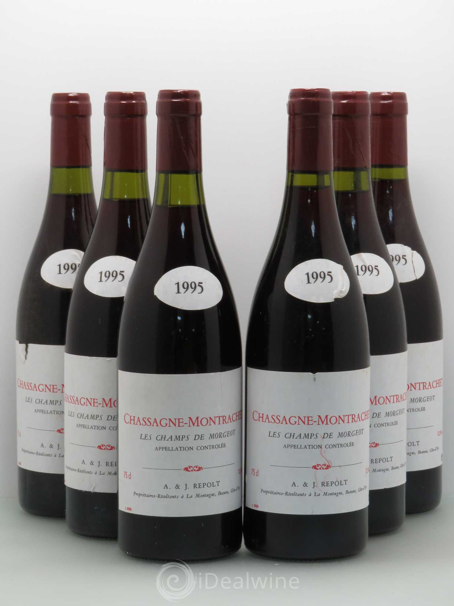 Chassagne-Montrachet Les Champs de Morgeot - Repolt (sans prix de réserve) 1995 - Posten von 6 Flaschen - 0