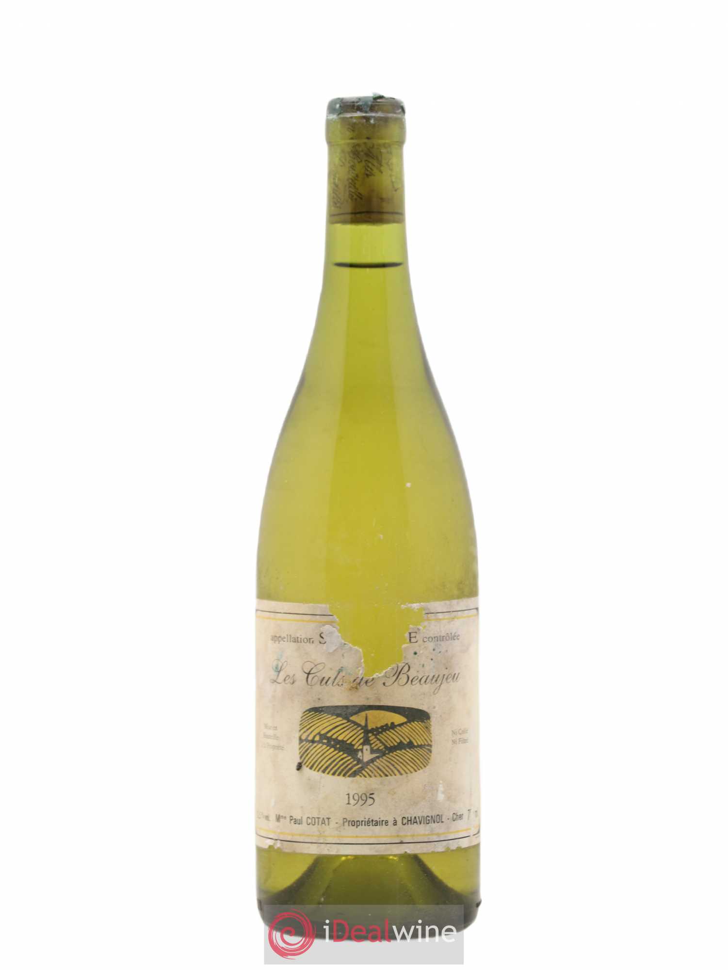 Sancerre Les Culs de Beaujeu Paul Cotat 1995 - Posten von 1 Flasche - 0