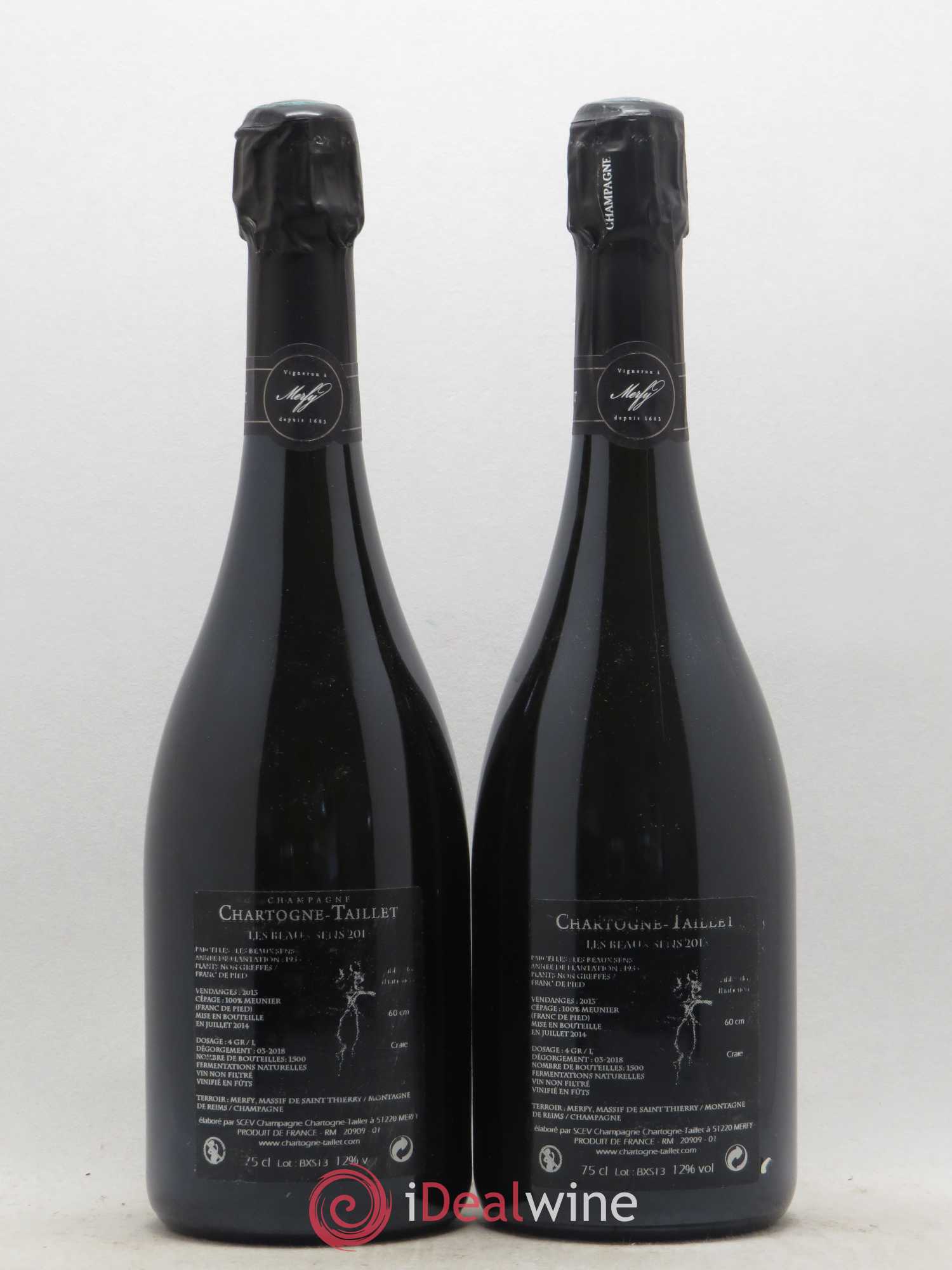 Champagne 2013 - Posten von 2 Flaschen - 1