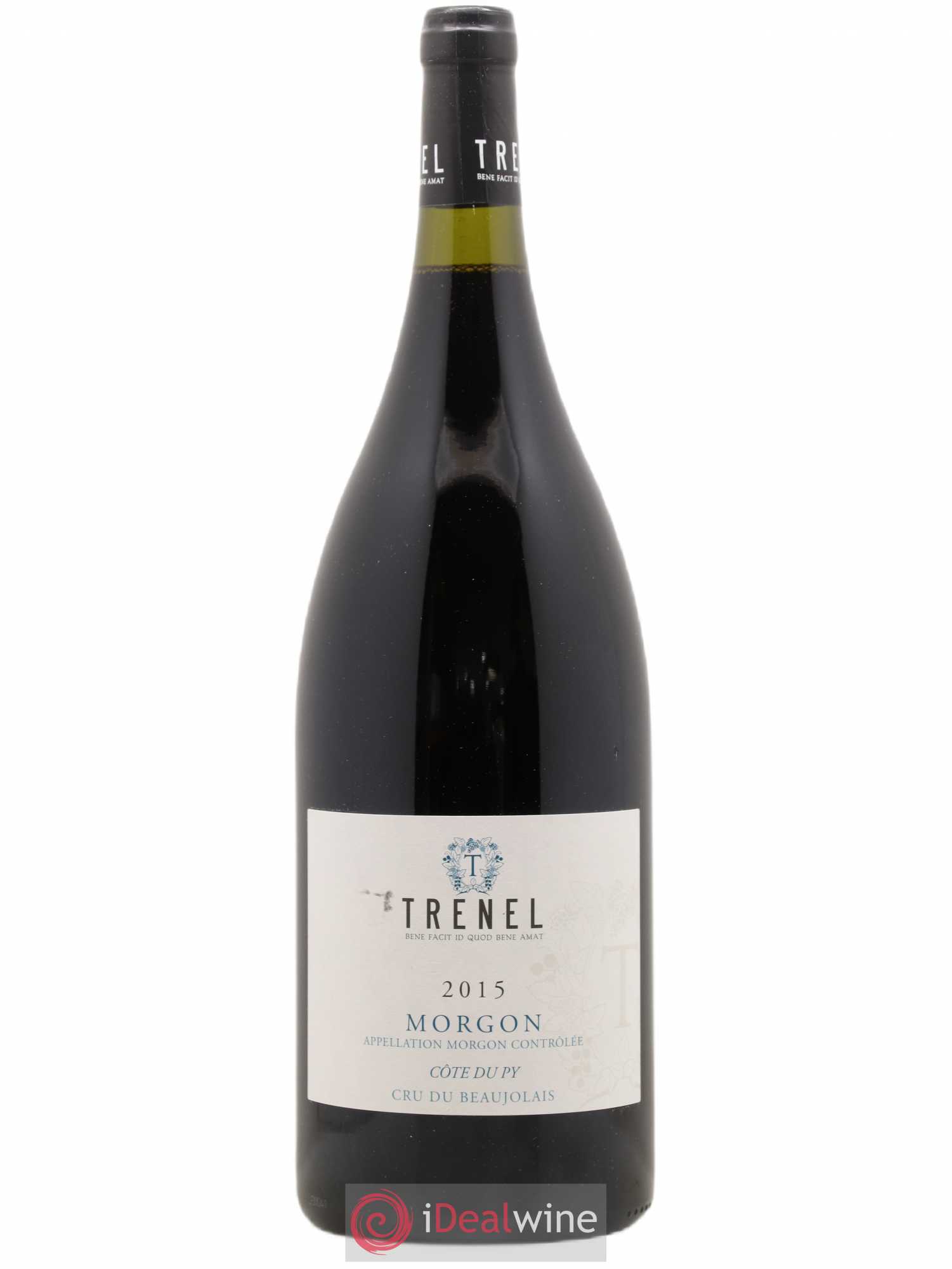 Morgon Côte du Py Trenel 2015 - Posten von 1 Magnum - 0